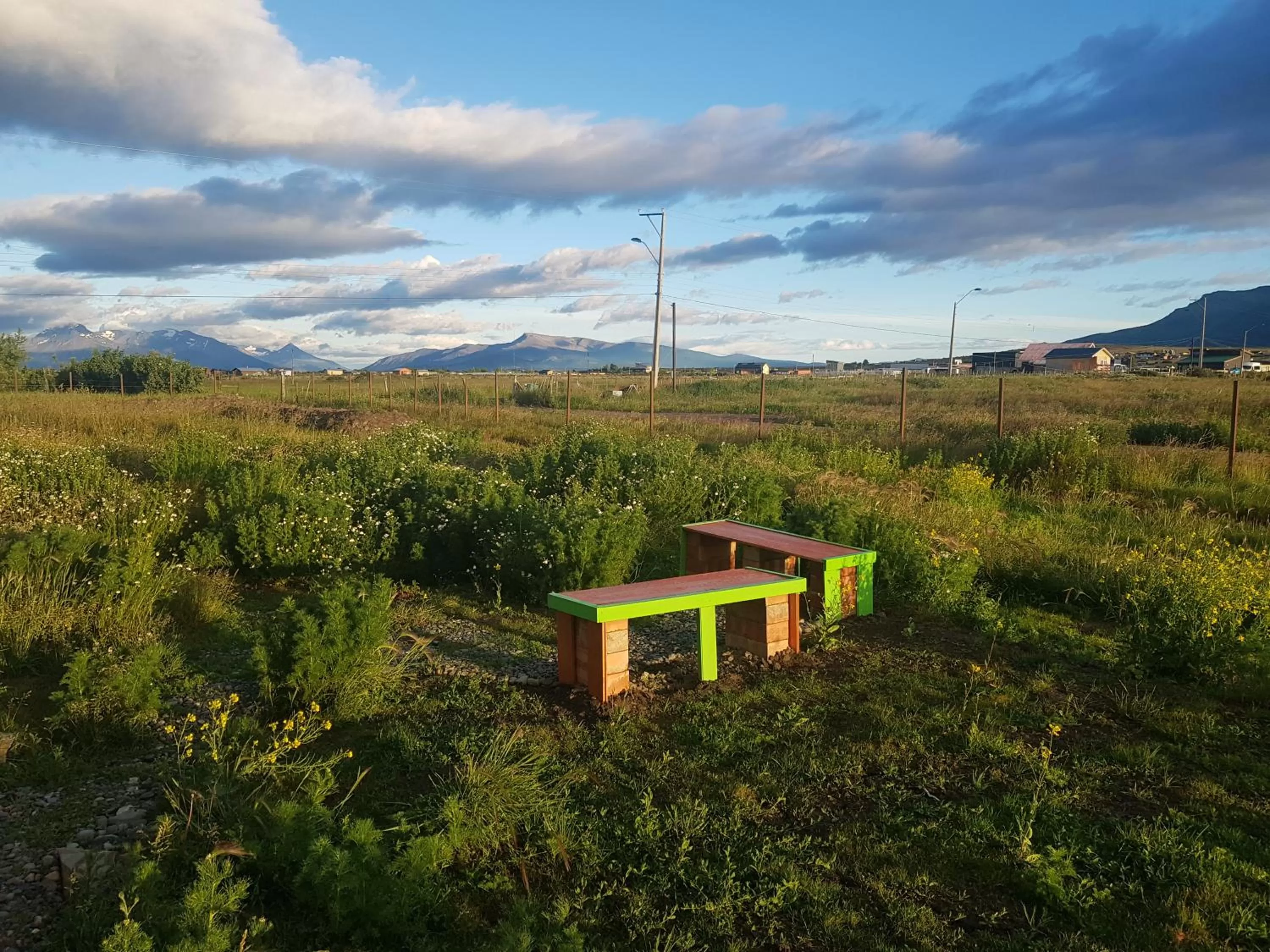 Natural landscape in Hotel Casa Verde