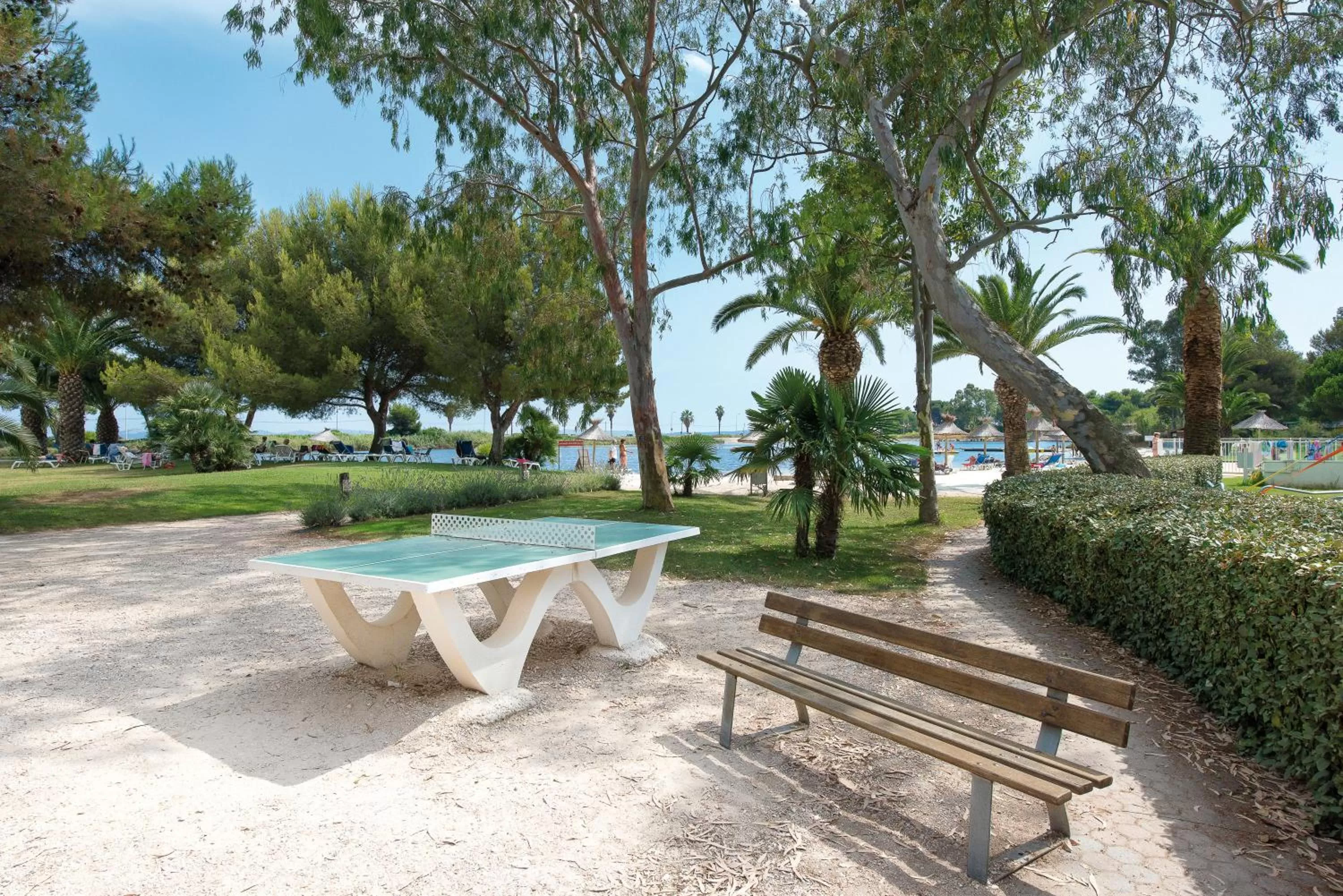 Table tennis in Hotel Club Le Plein Sud Vacances Bleues