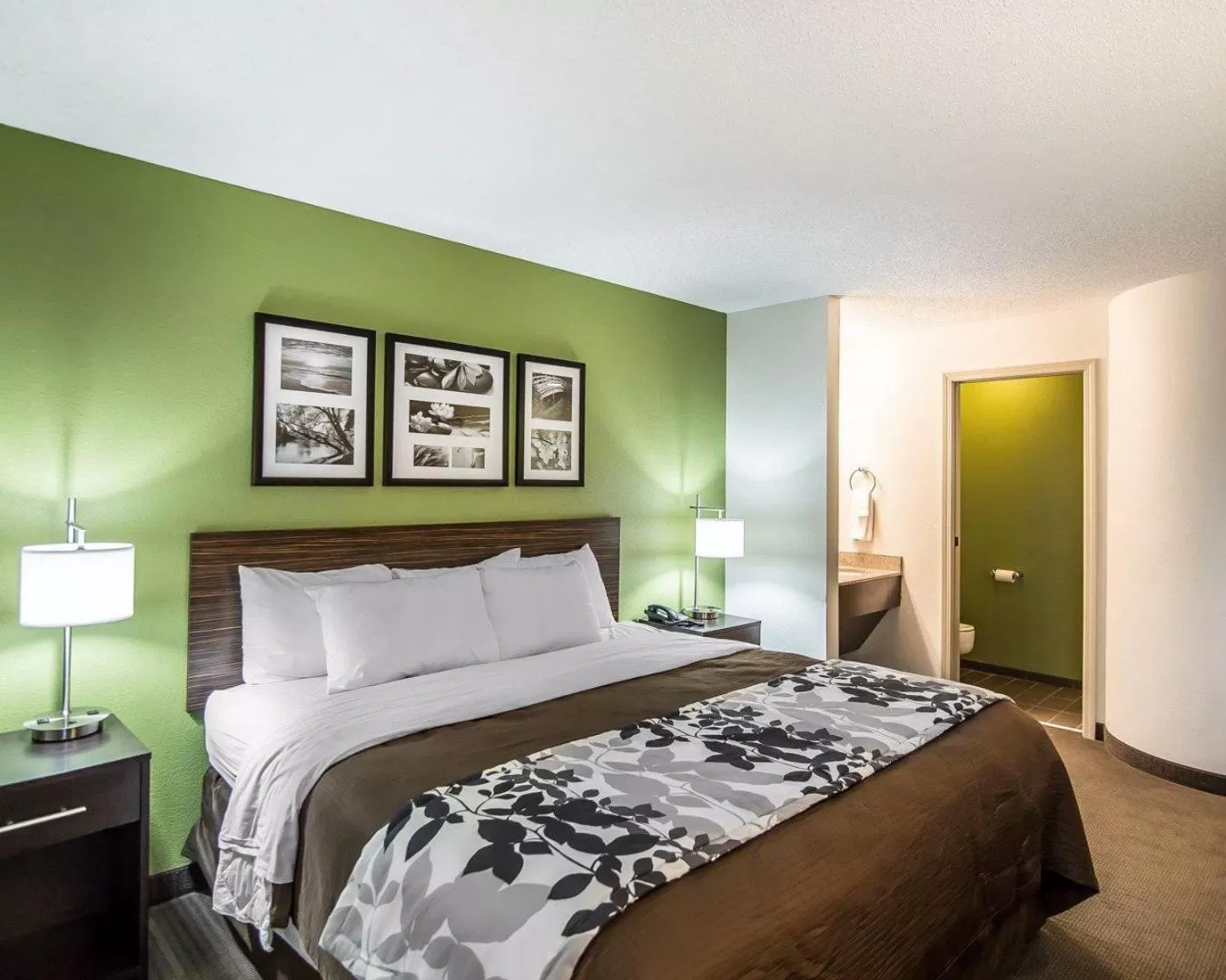 Bedroom, Bed in Sleep Inn South Joplin