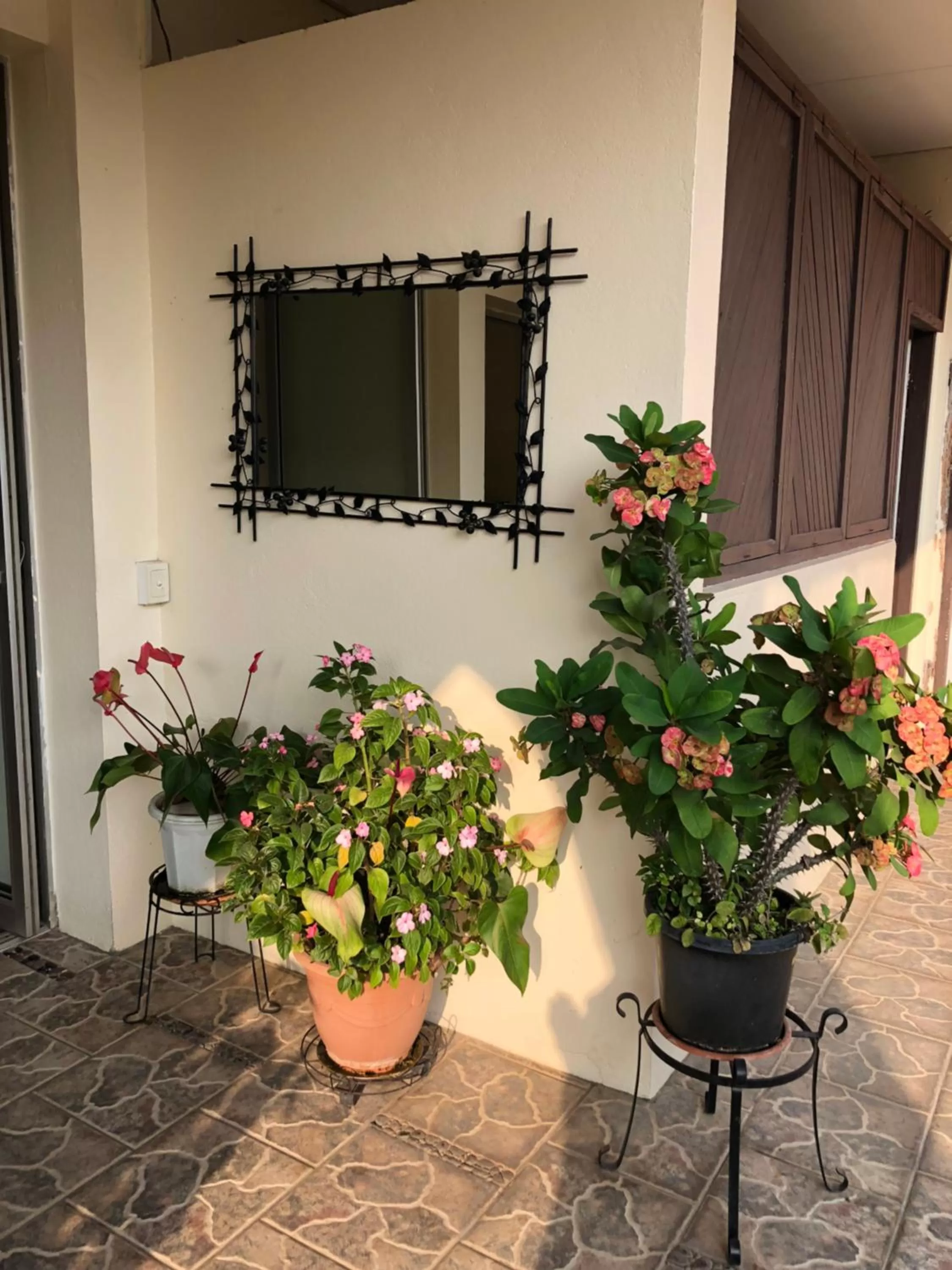 Garden in Hotel Santo Vanuatu