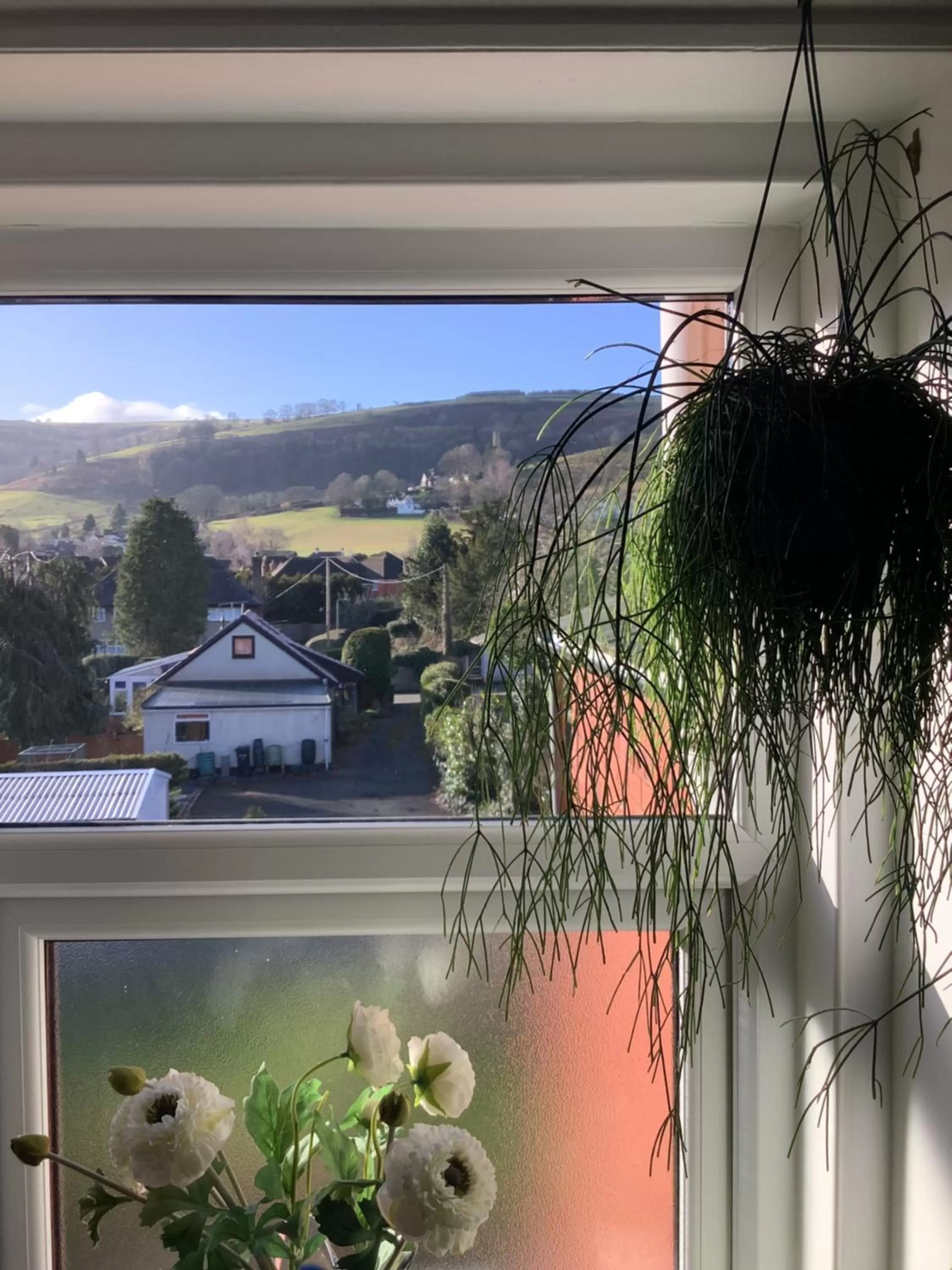 The Views Bed and Breakfast