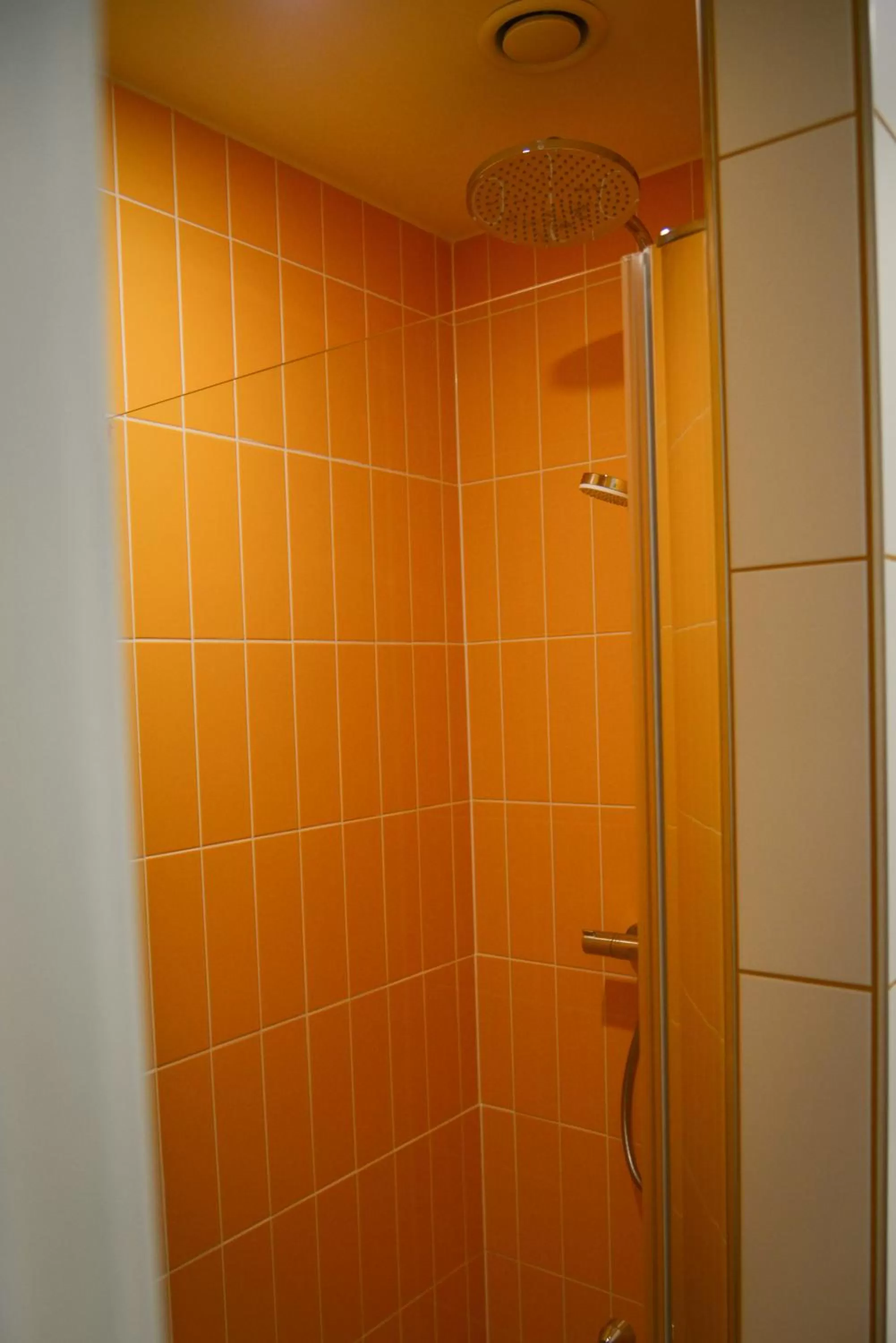 Shower in Pegard Andenne Centre