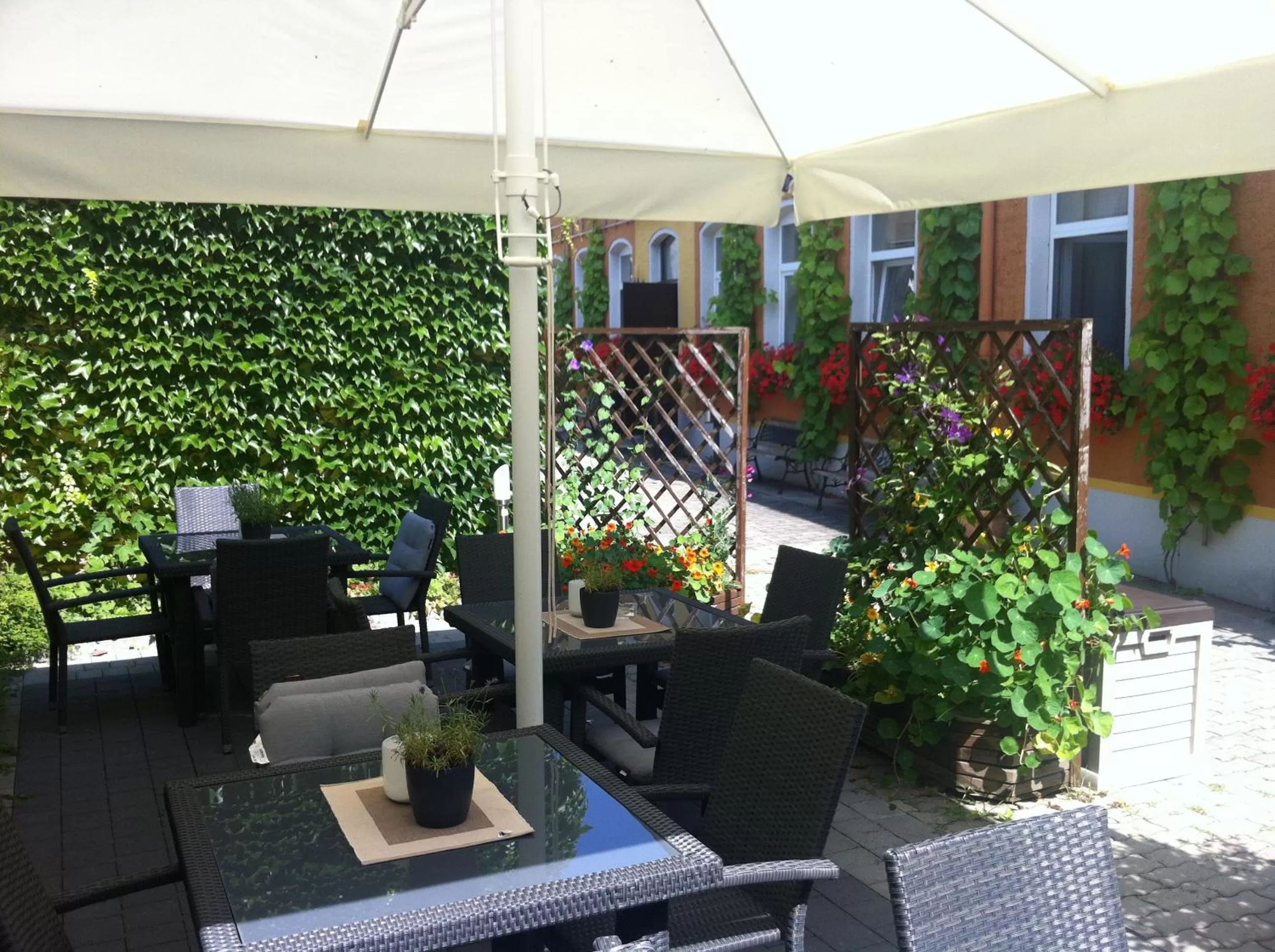 Patio in Pension an der Porzellan-Manufaktur