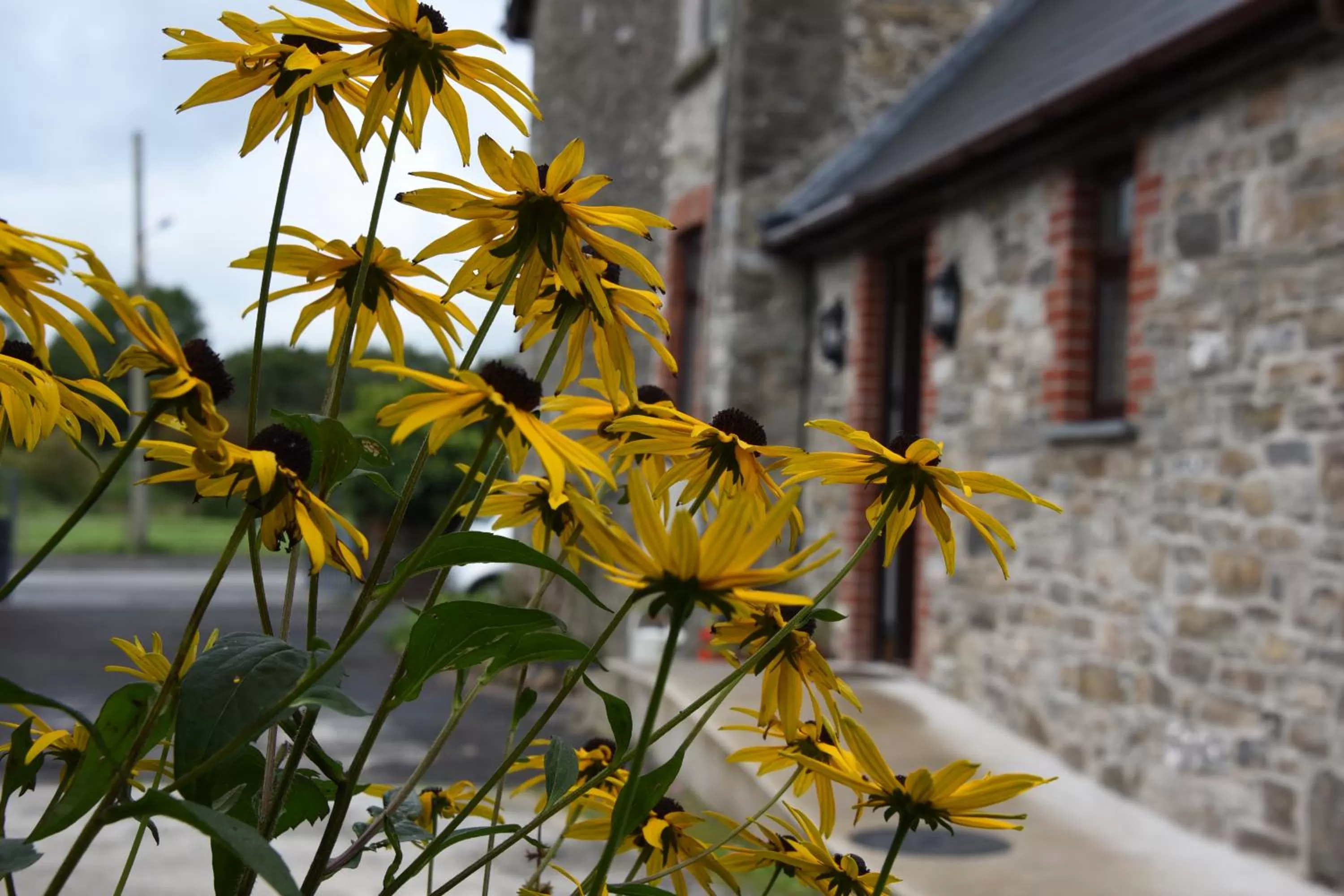 Property building in Melin Tregib