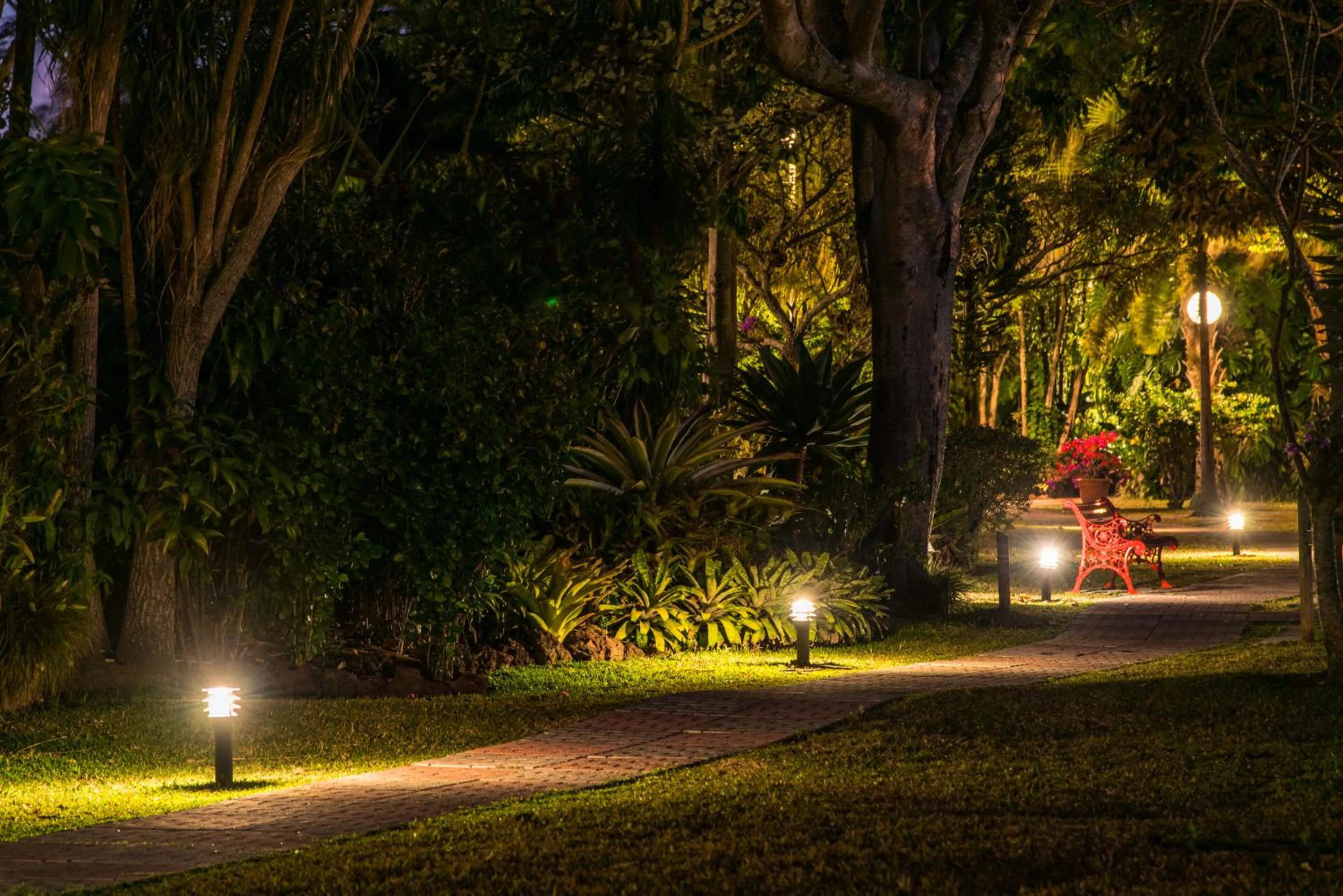 Garden in Hotel Bougainvillea San José