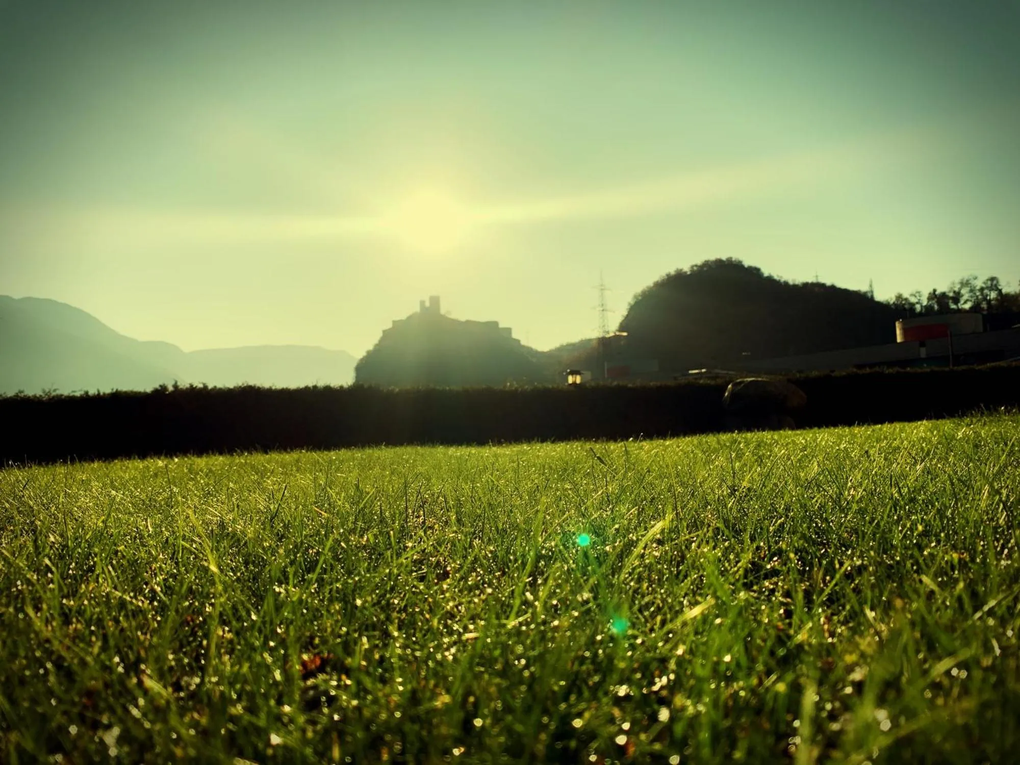 Natural landscape in Gardenhotel Premstaller