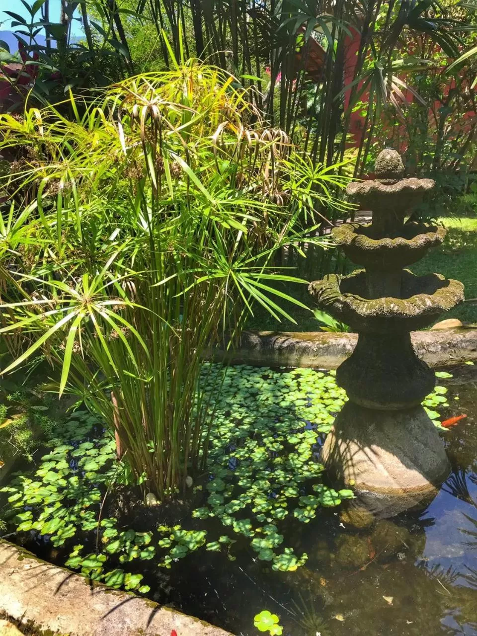 Garden in Pousada Canto Bella Terra