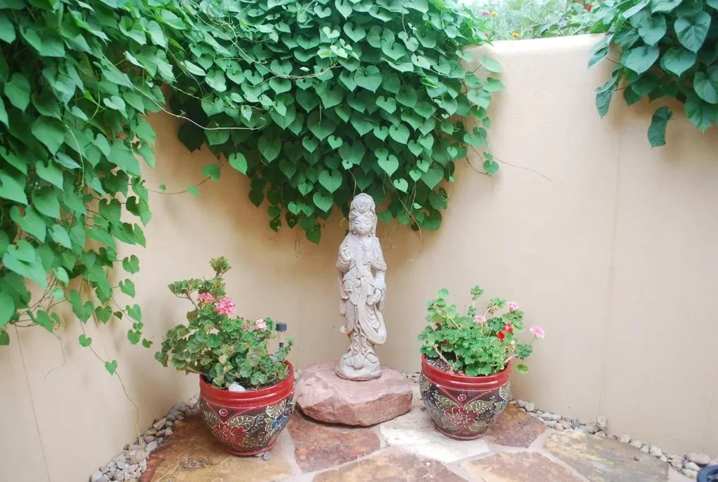 Balcony/Terrace in Red Moon Lodge