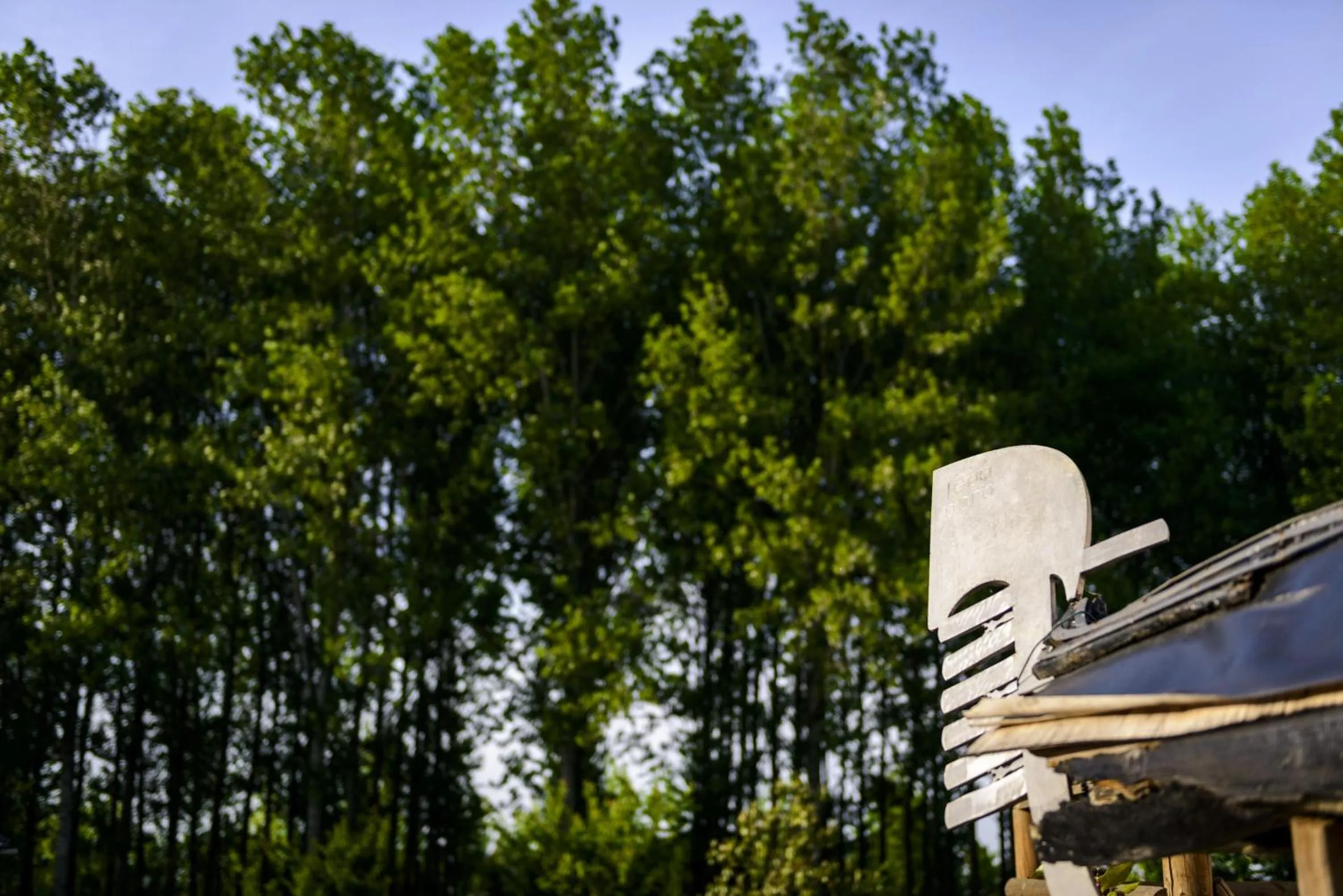 Garden in Relais Leon d'Oro