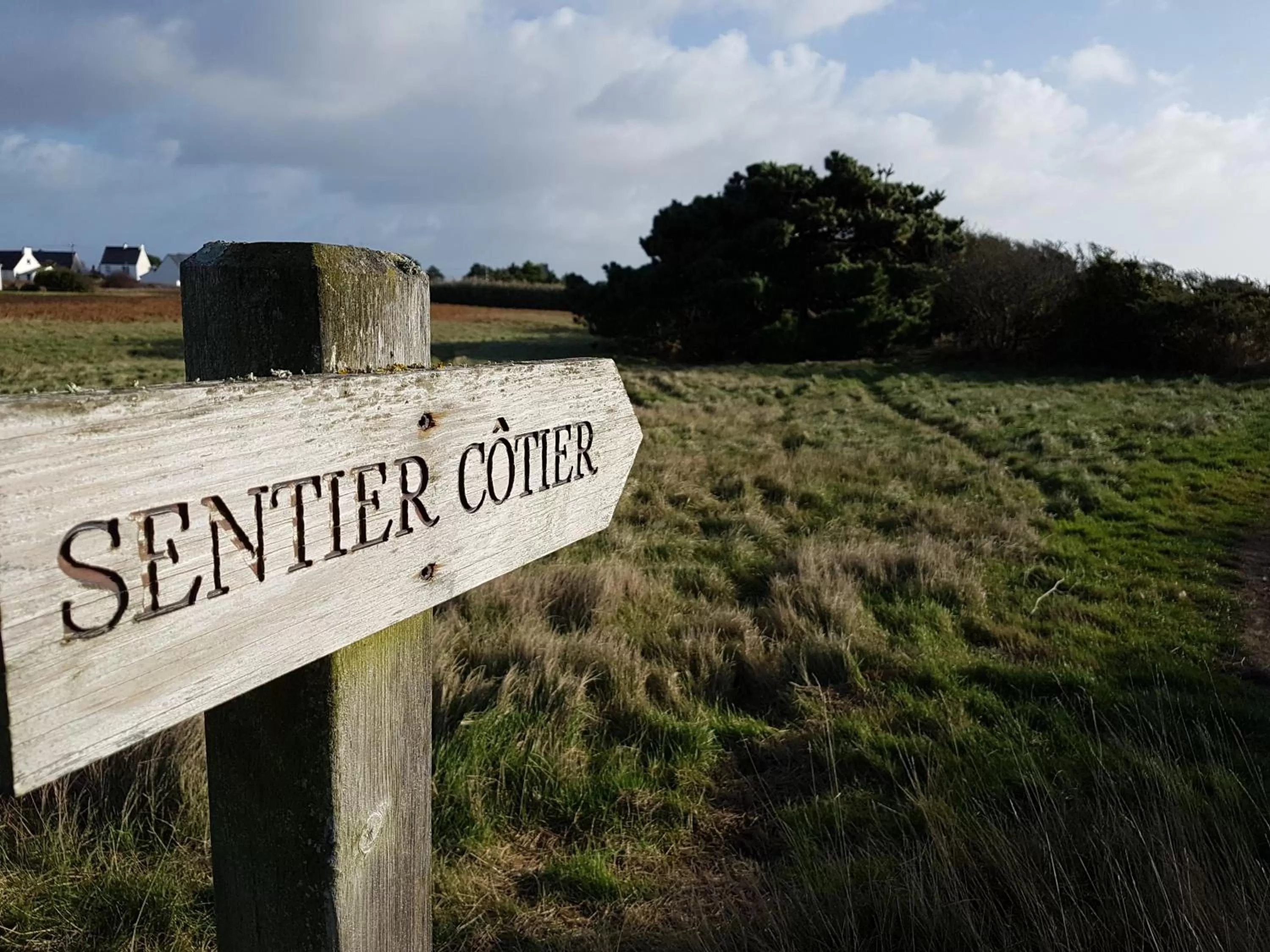 Sports in Hotel Restaurant Spa De La Citadelle Lorient
