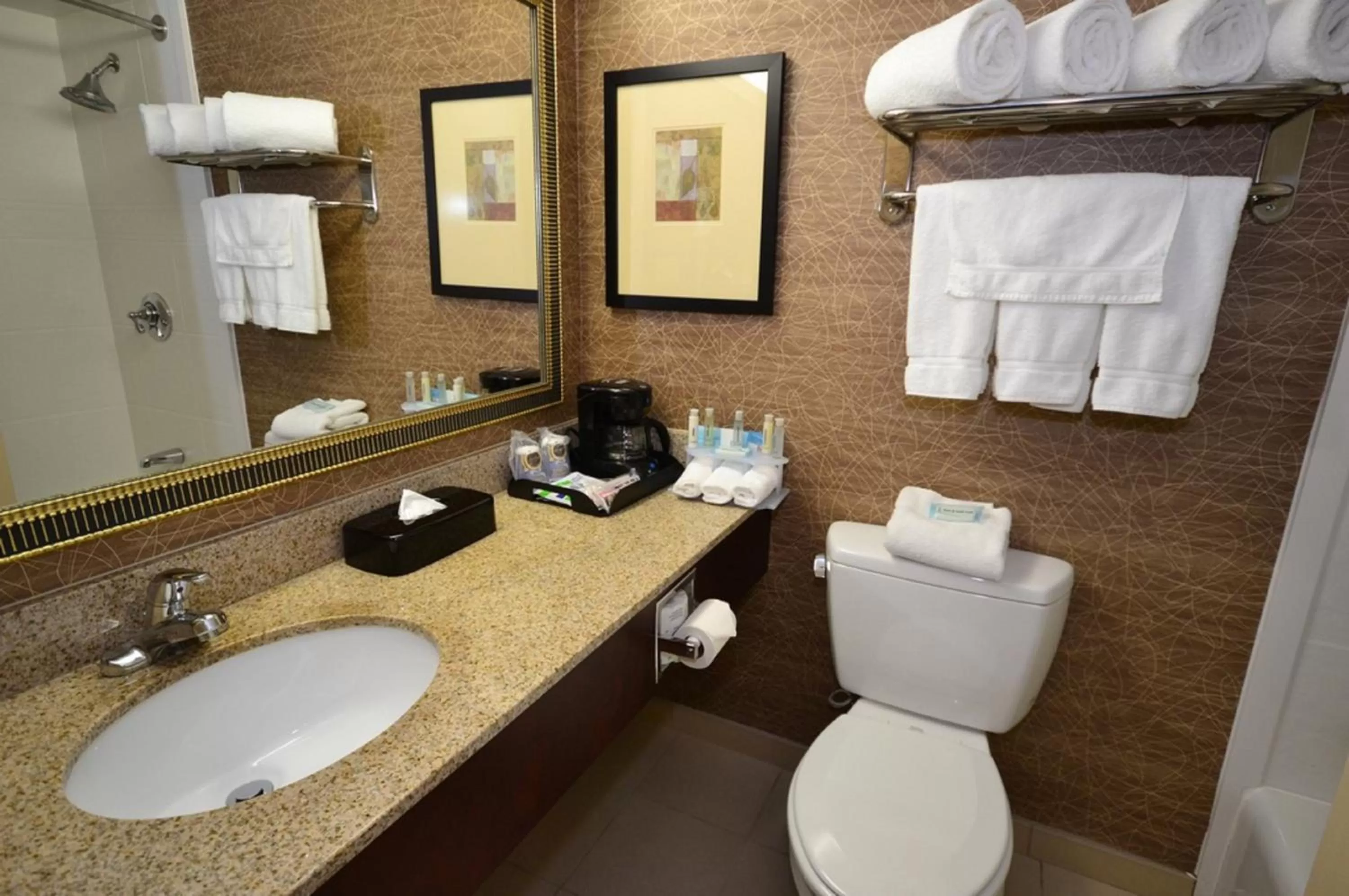 Bathroom in Holiday Inn Express Boston Brockton by IHG