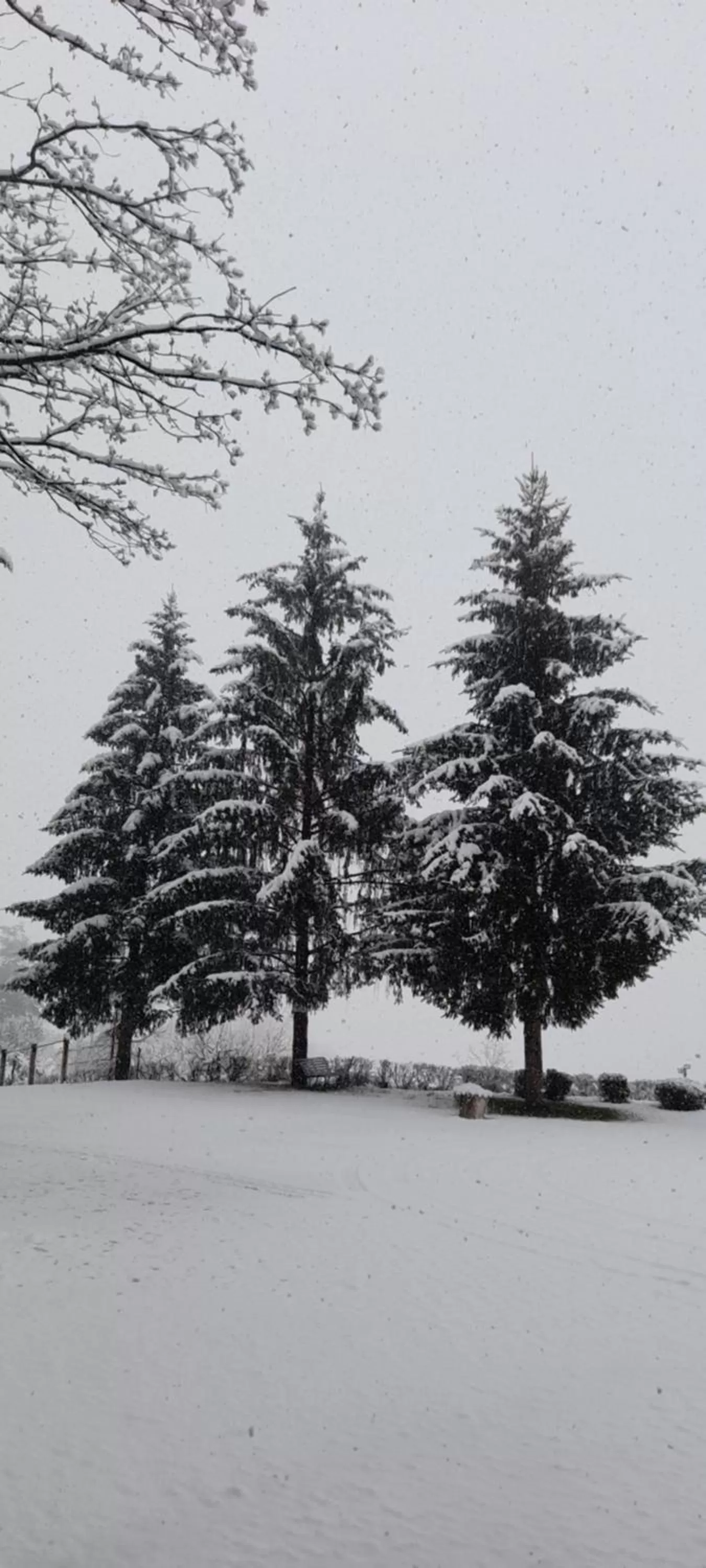 Masseria boutique b&b