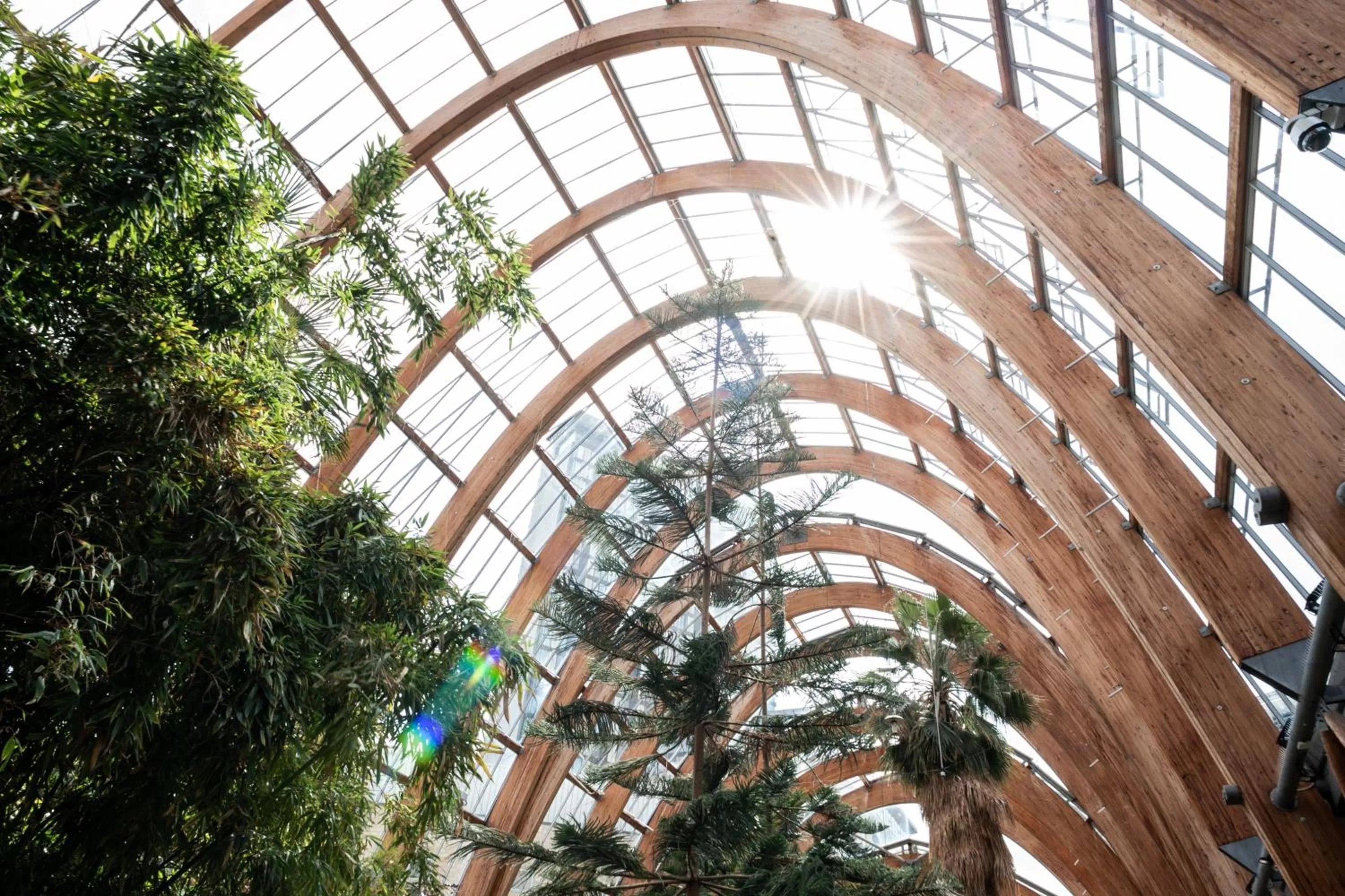 Nearby landmark in Miller & Carter Sheffield by Innkeeper's Collection