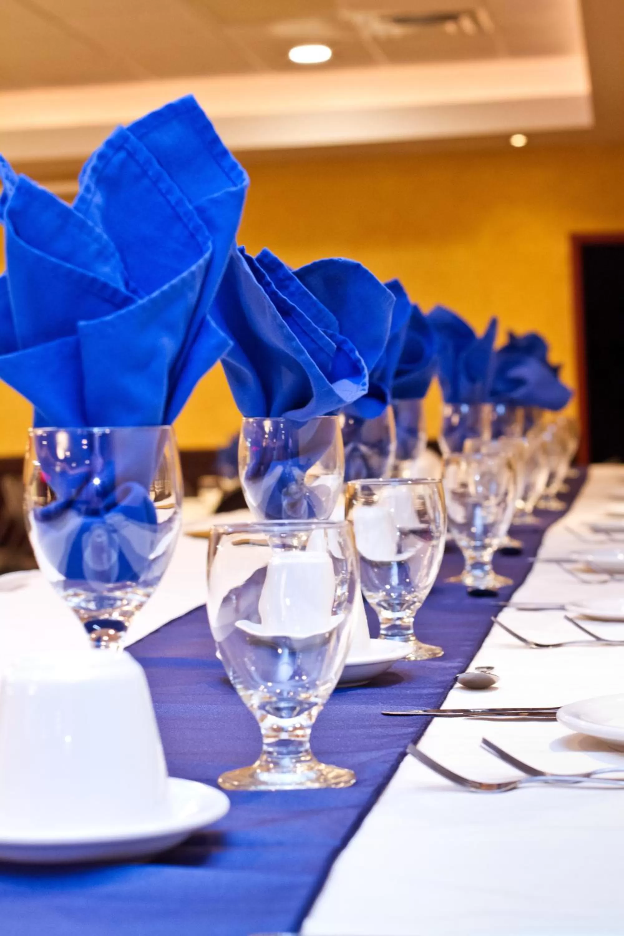 Banquet/Function facilities in Park West Inn