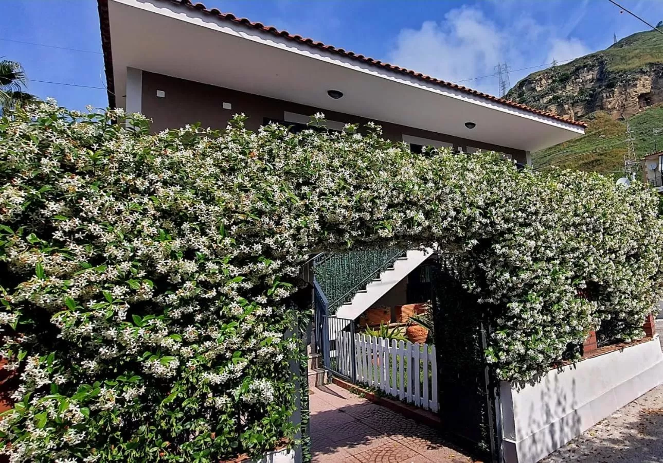 Property Building in La casa di Barry