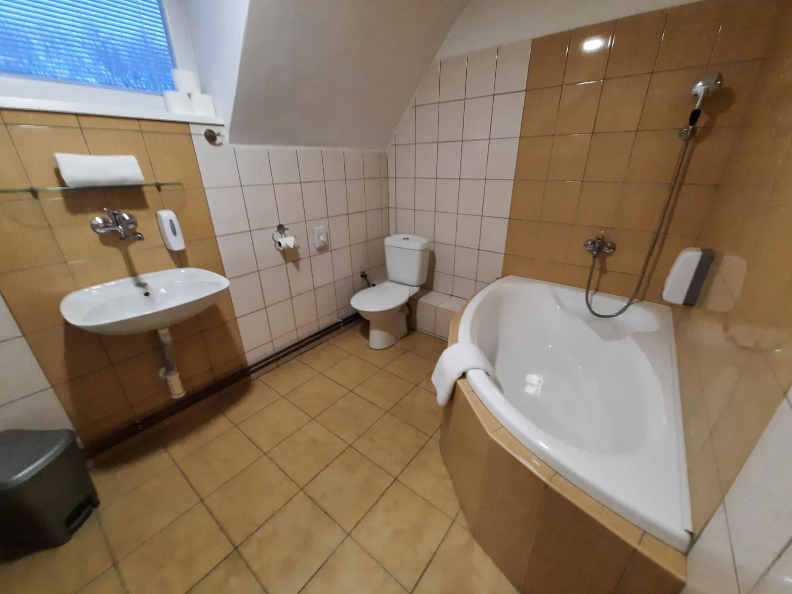 Toilet in Hotel Boršičanka
