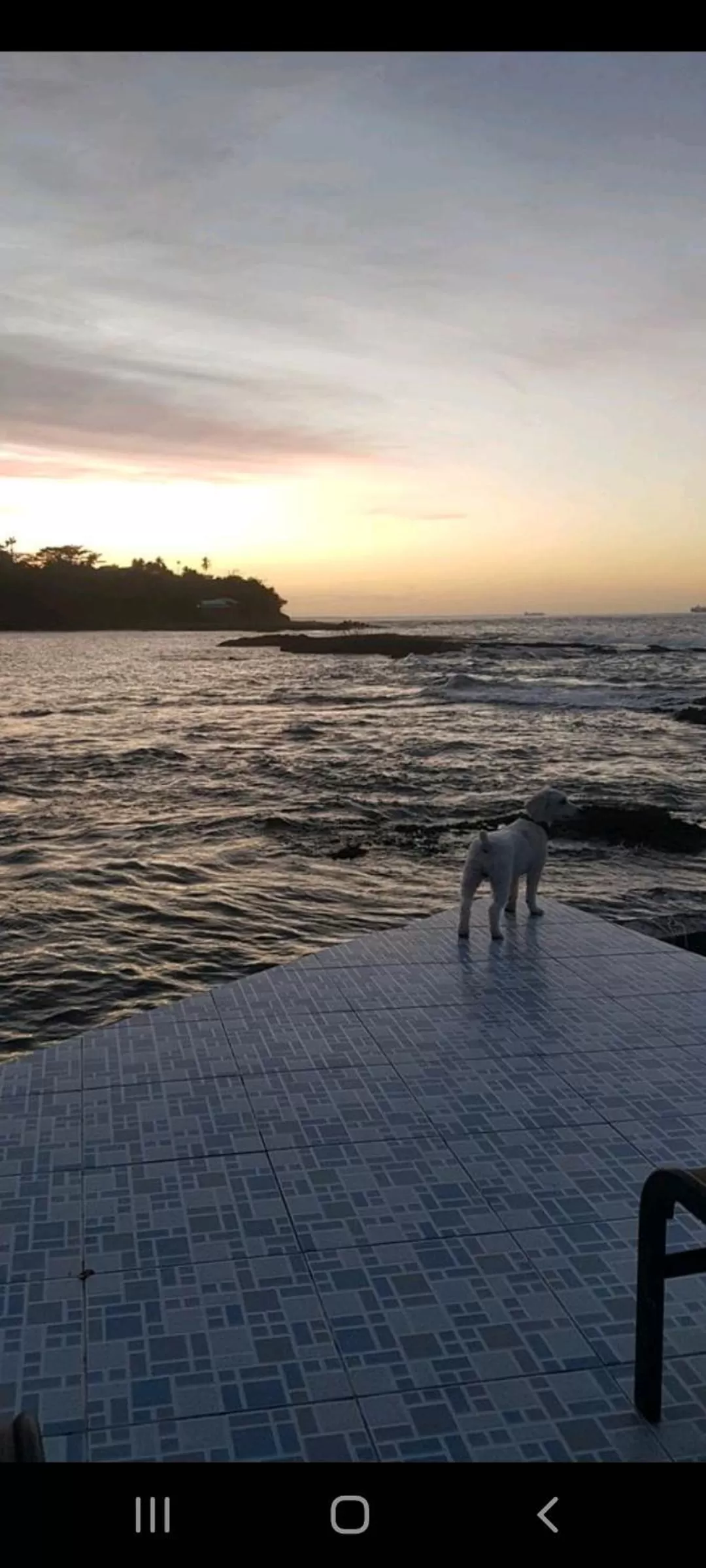 Hotel la Cueva Limon