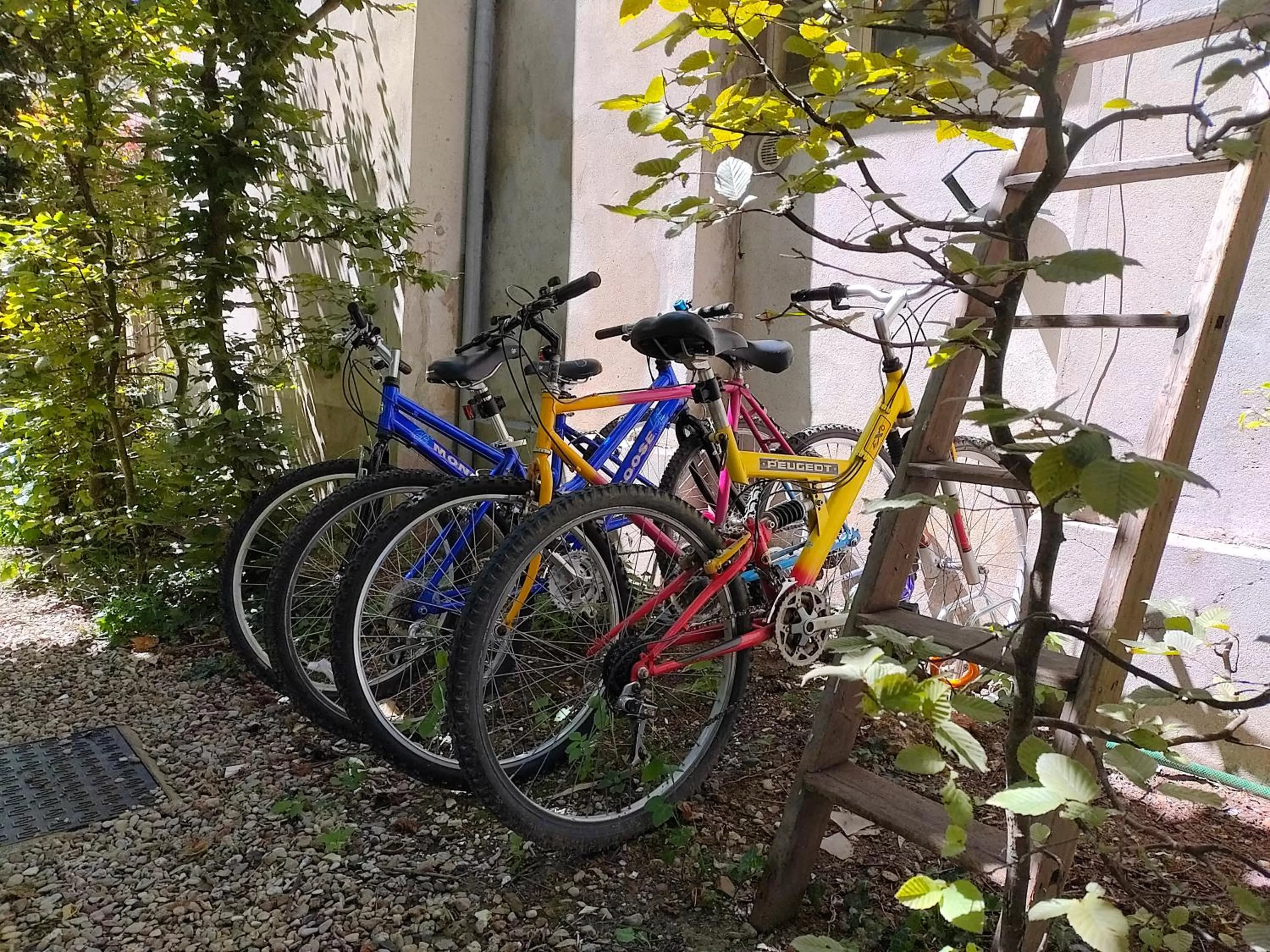 Cycling, Other Activities in Le Grand Barrois