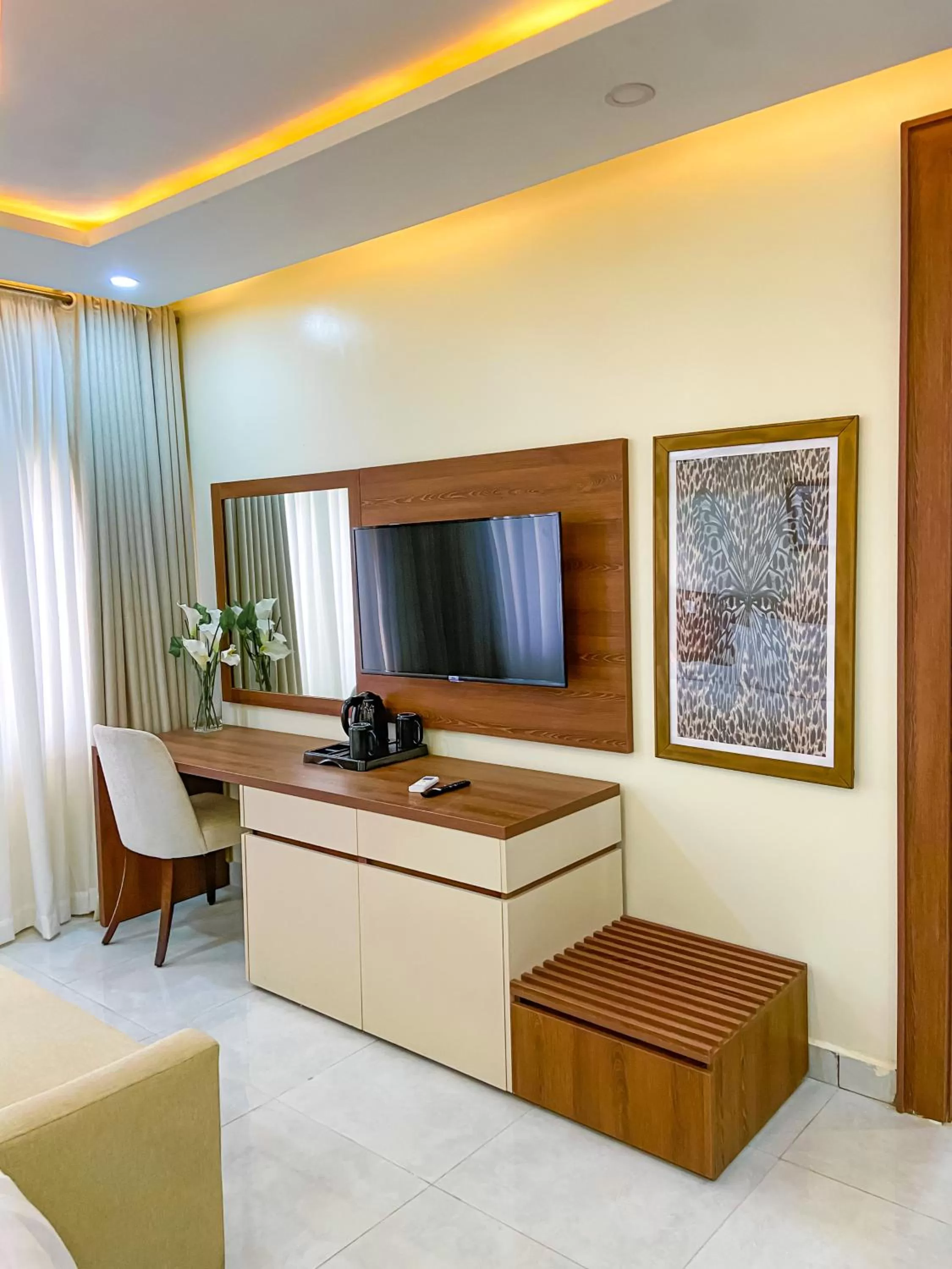 TV and multimedia, TV/Entertainment Center in Plush Hotel,Abuja
