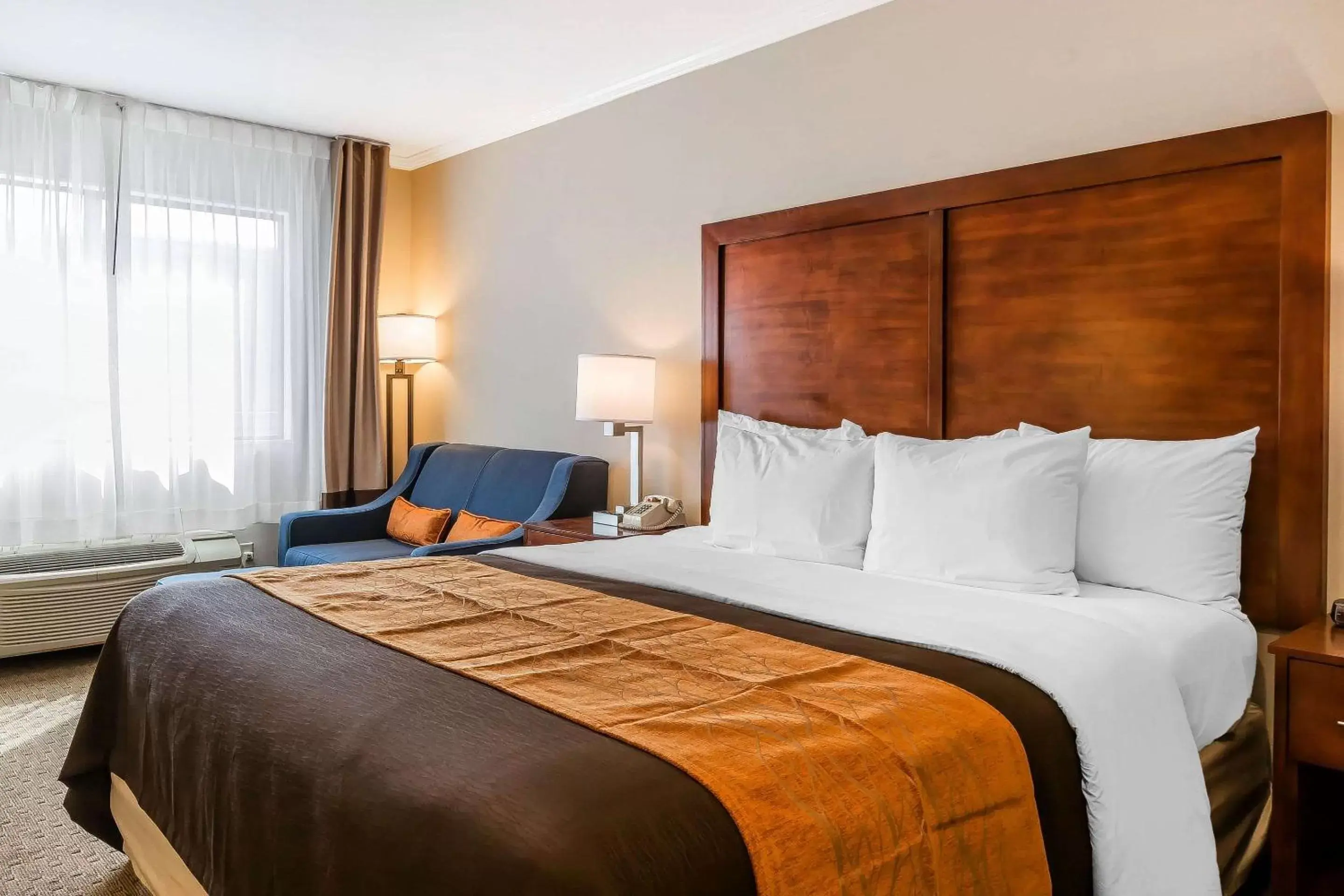 Standard Room, 1 King Bed with Sofa Bed, Non Smoking in Comfort Inn Santa Monica - West Los Angeles Standard Room, 1 King Bed with Sofa Bed, Non Smoking in Comfort Inn Santa Monica - West Los Angeles