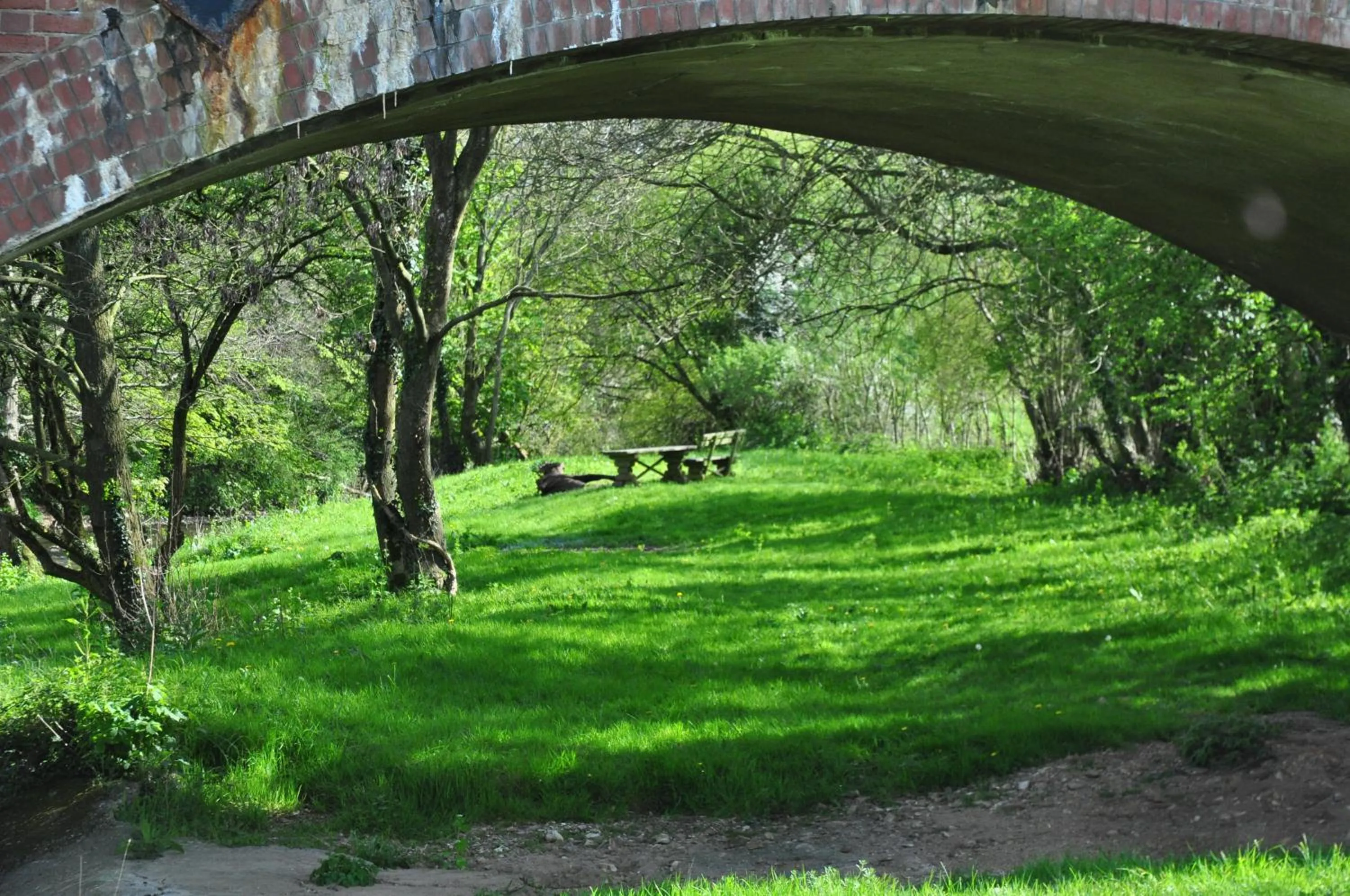 Day in Greyhound Country Inn