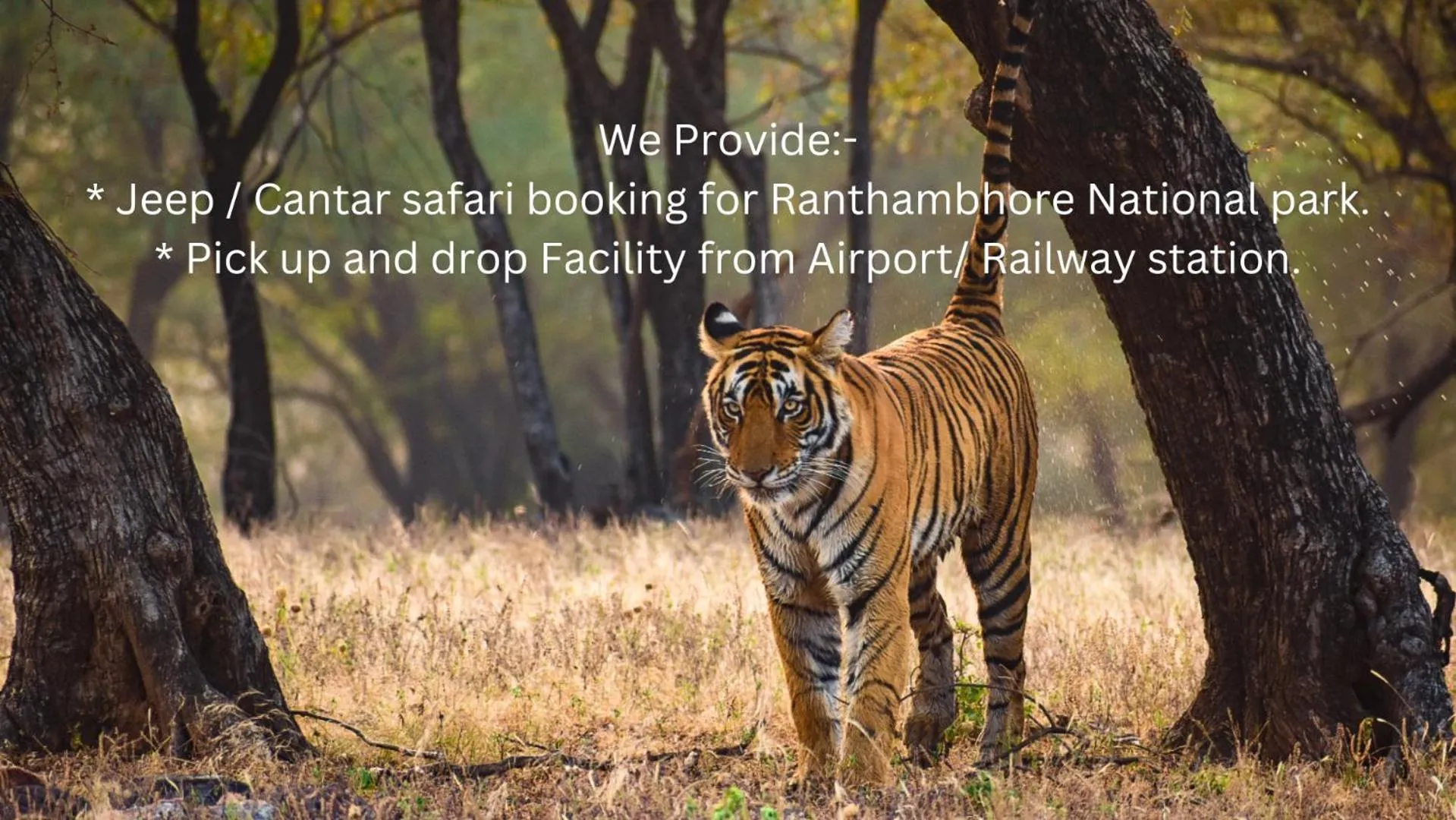 Animals in Raj Palace Resort