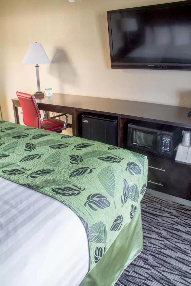 TV and multimedia, Bed in Motel Capri