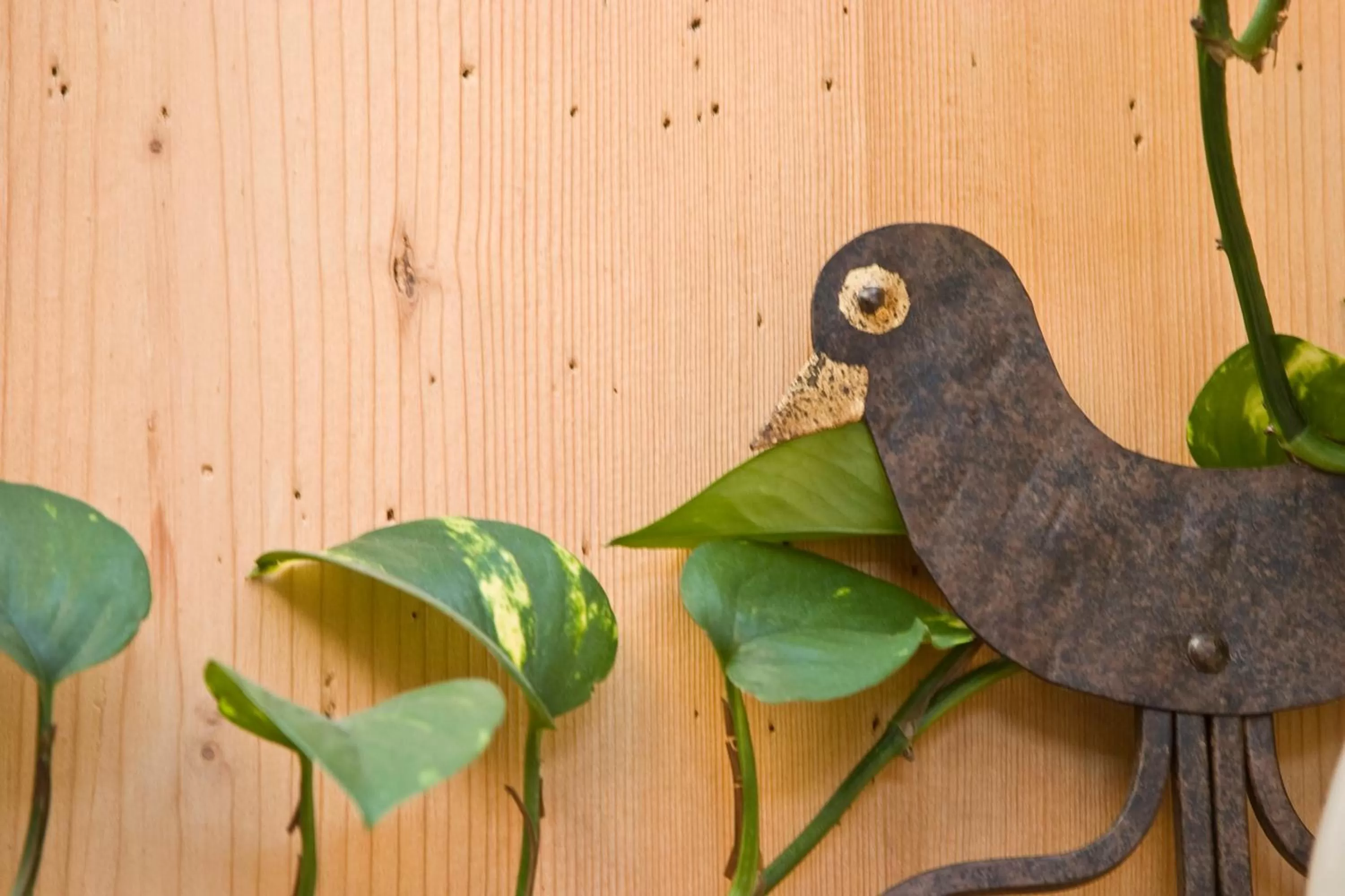 Other in Huber Hotel Tramserhof