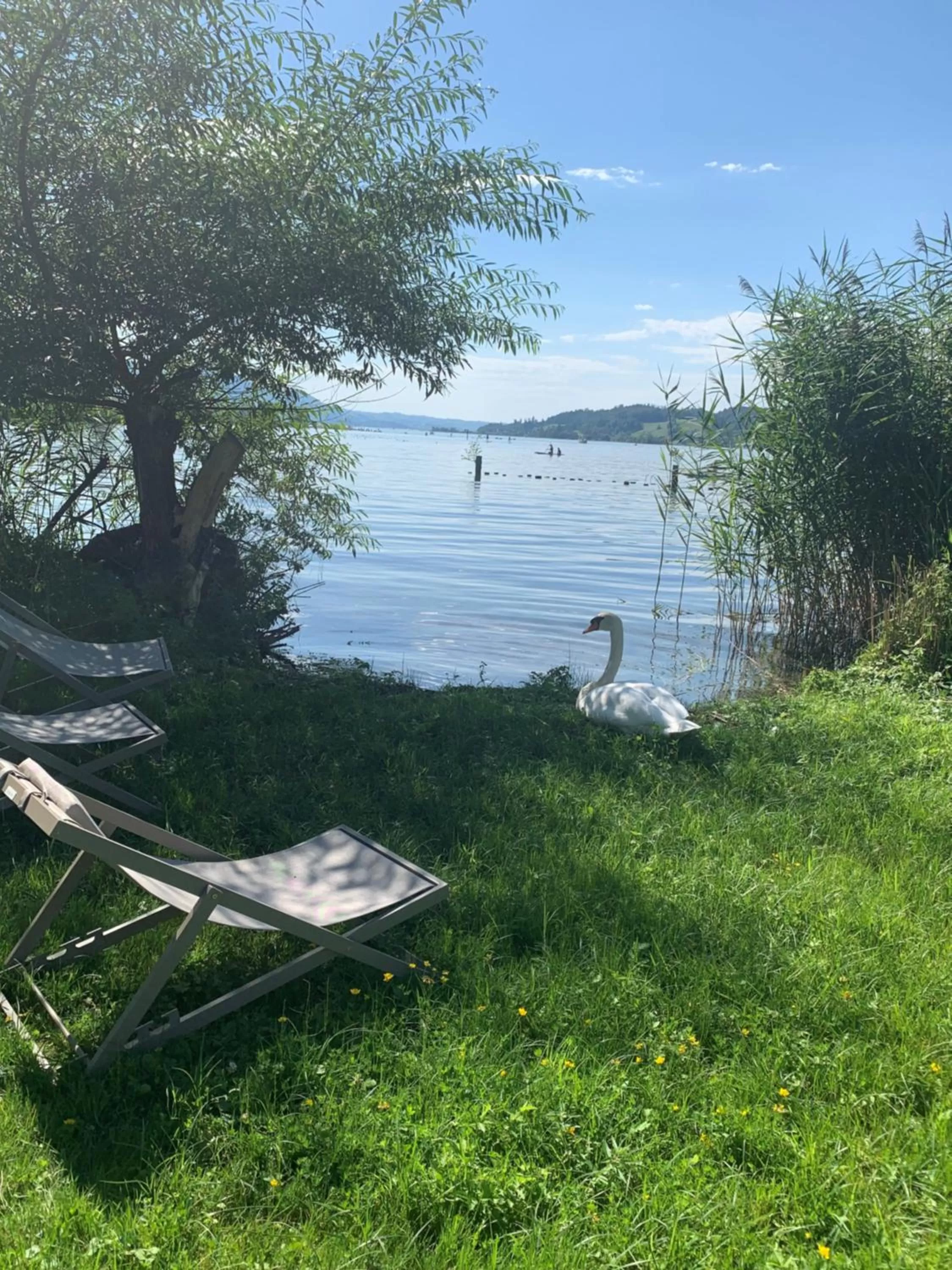 Sports in Strandhotel Schmerikon