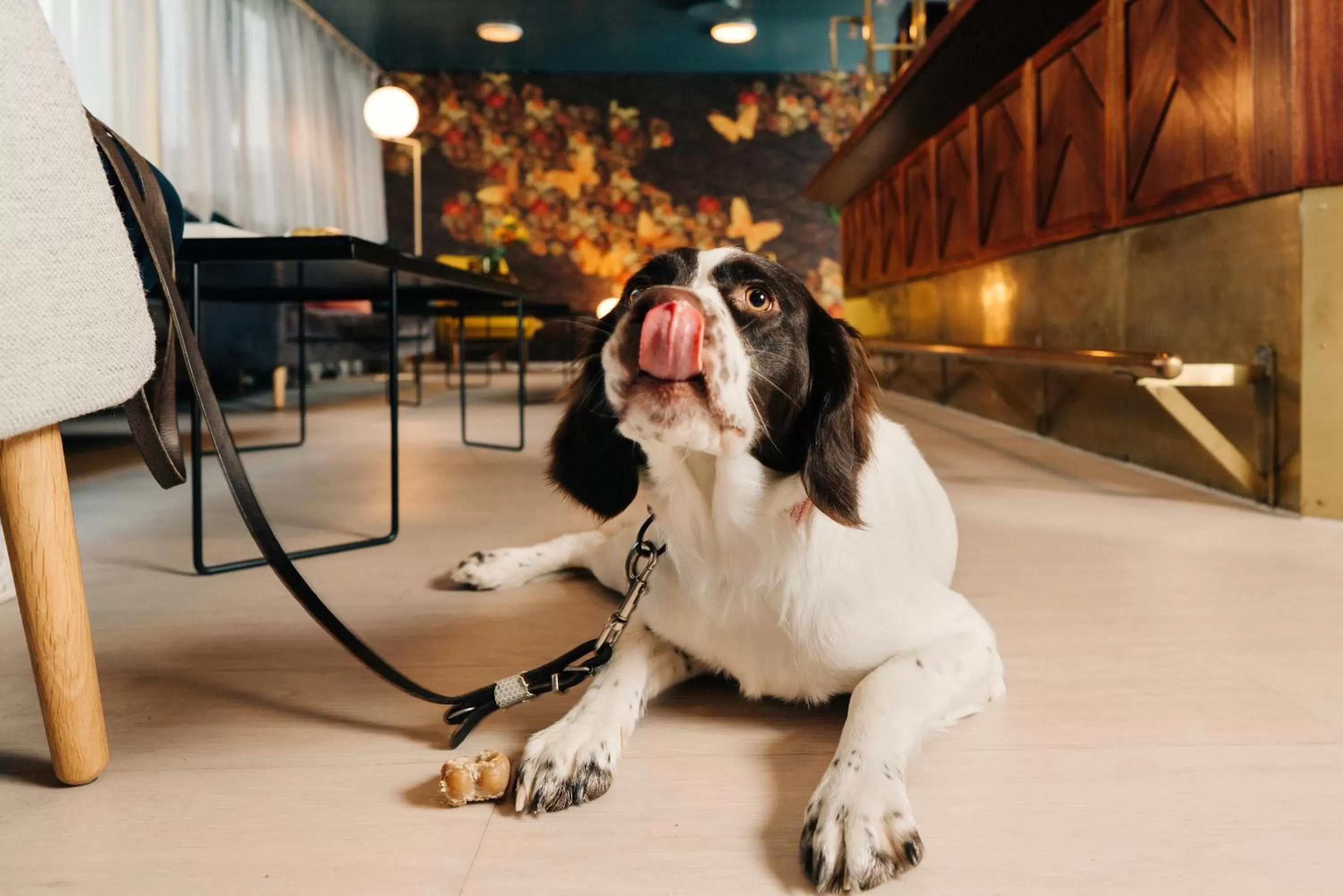 Animals in Hotel Sparre