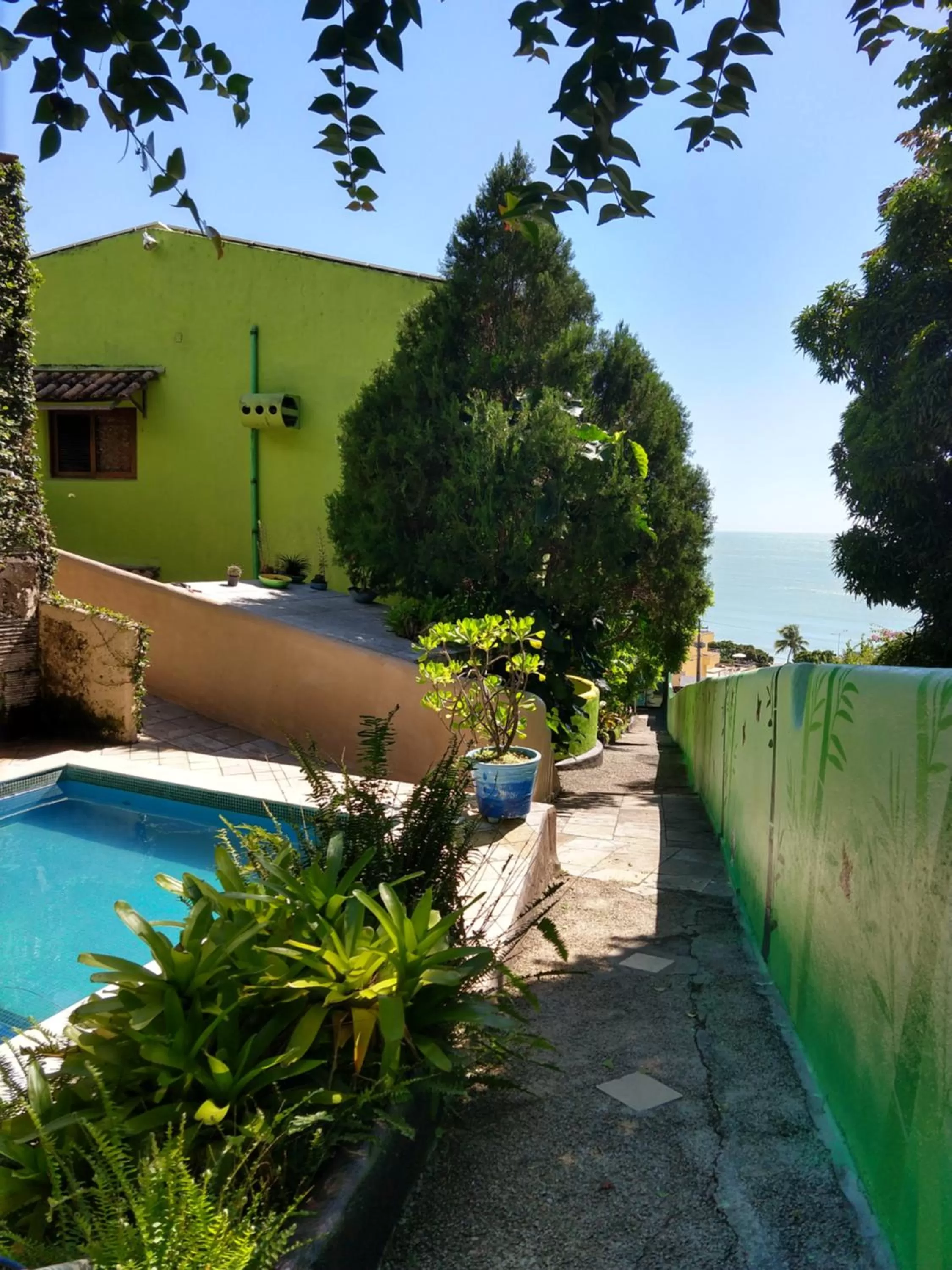 Swimming Pool in Bamboo Flat