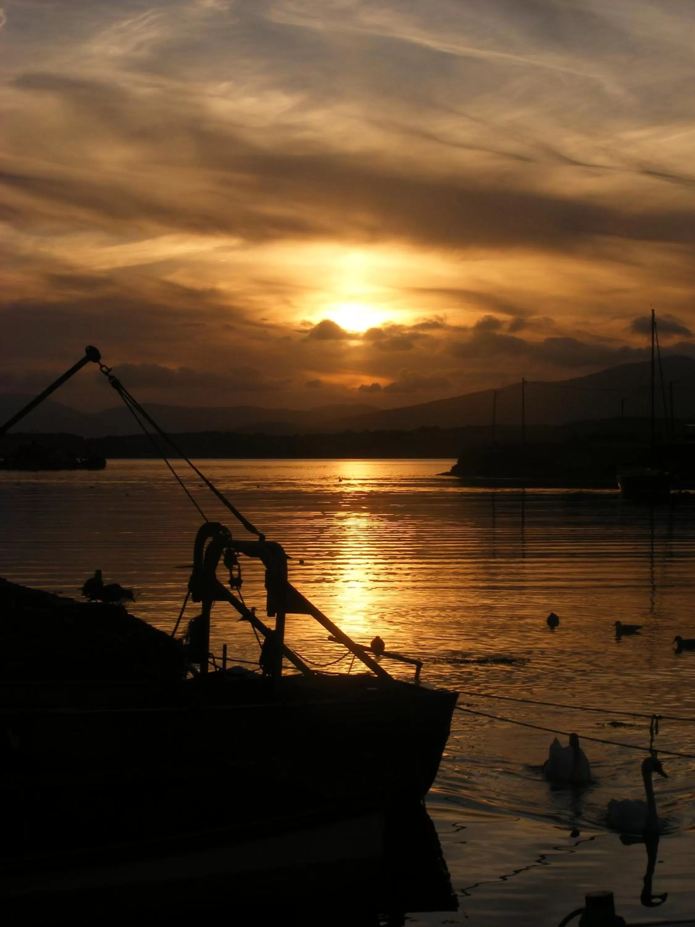 Area and facilities in The Maritime