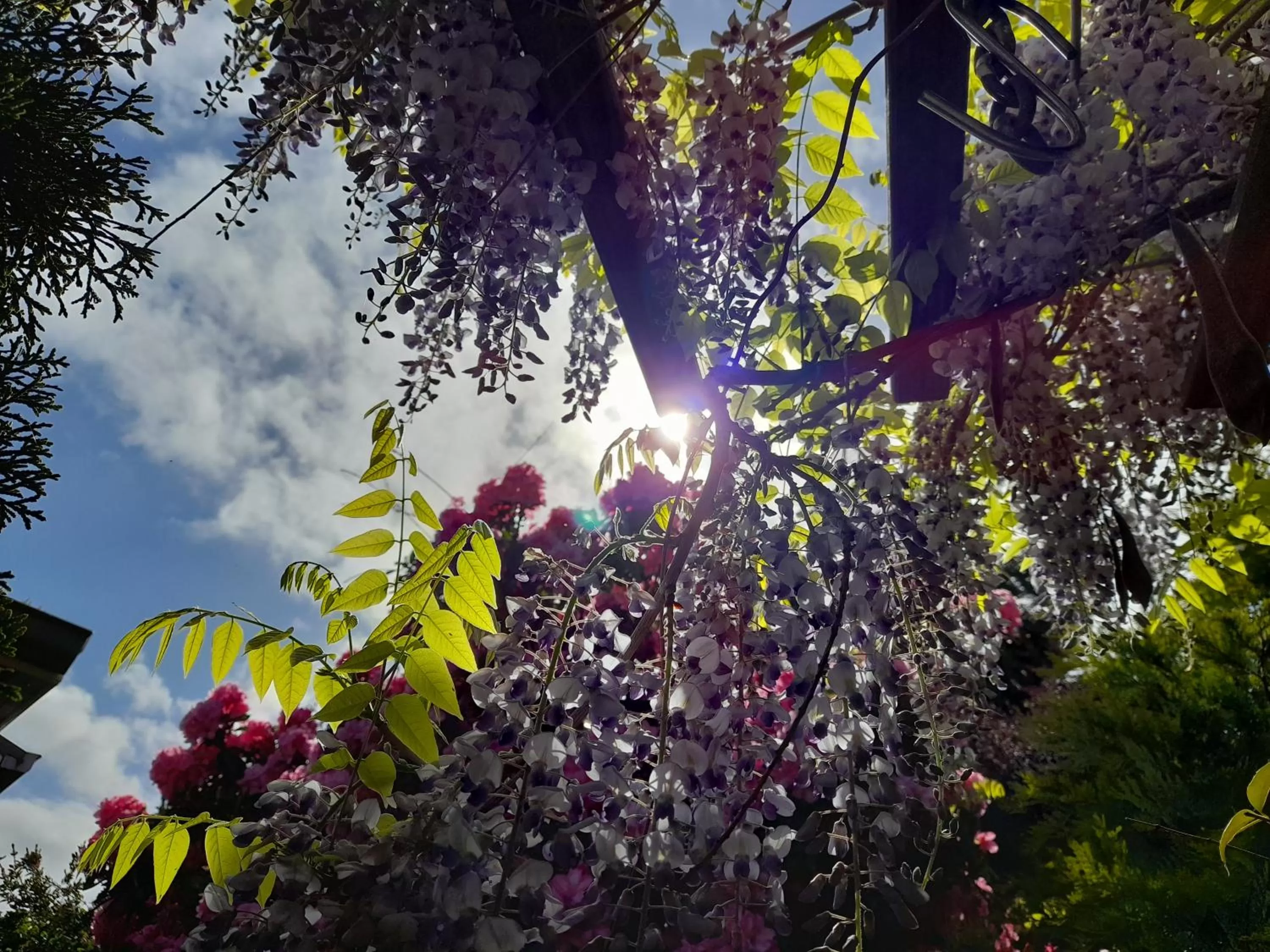 Hillside Bed and Breakfast