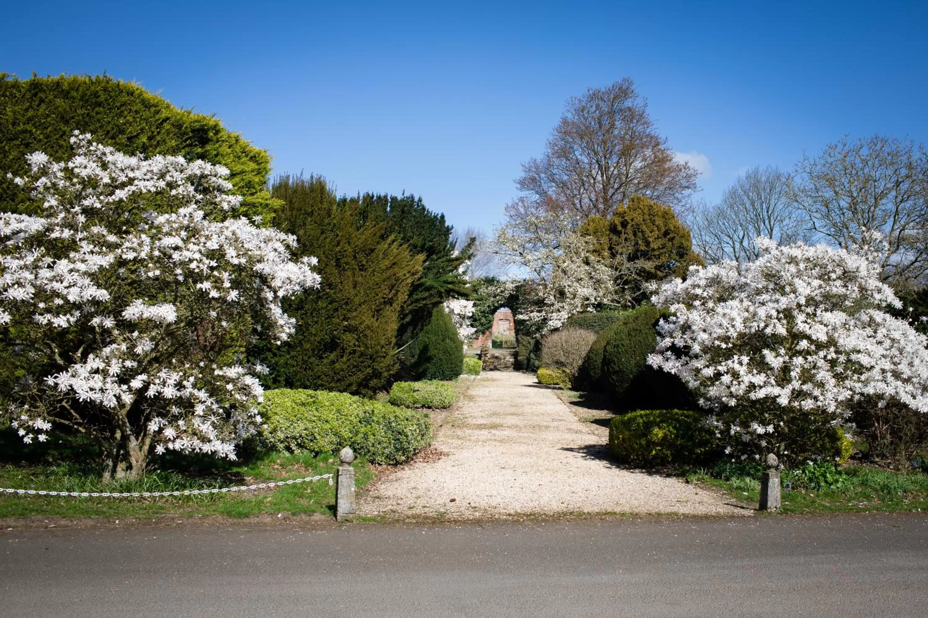 Natural landscape in The Retreat, Elcot Park