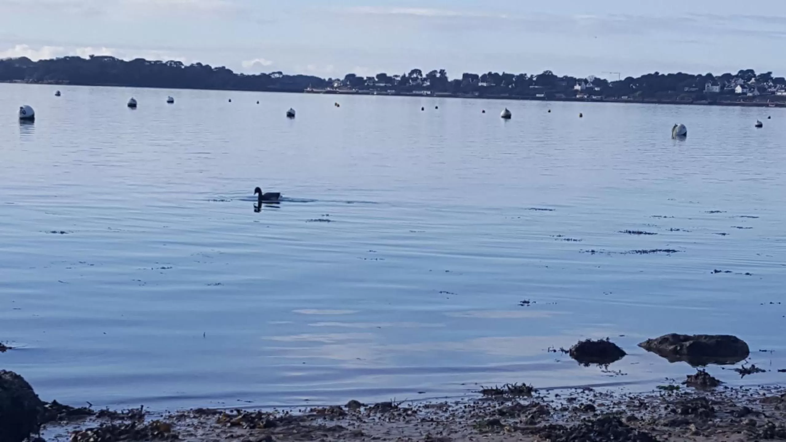 Sea view in Au plaisir d’accueillir