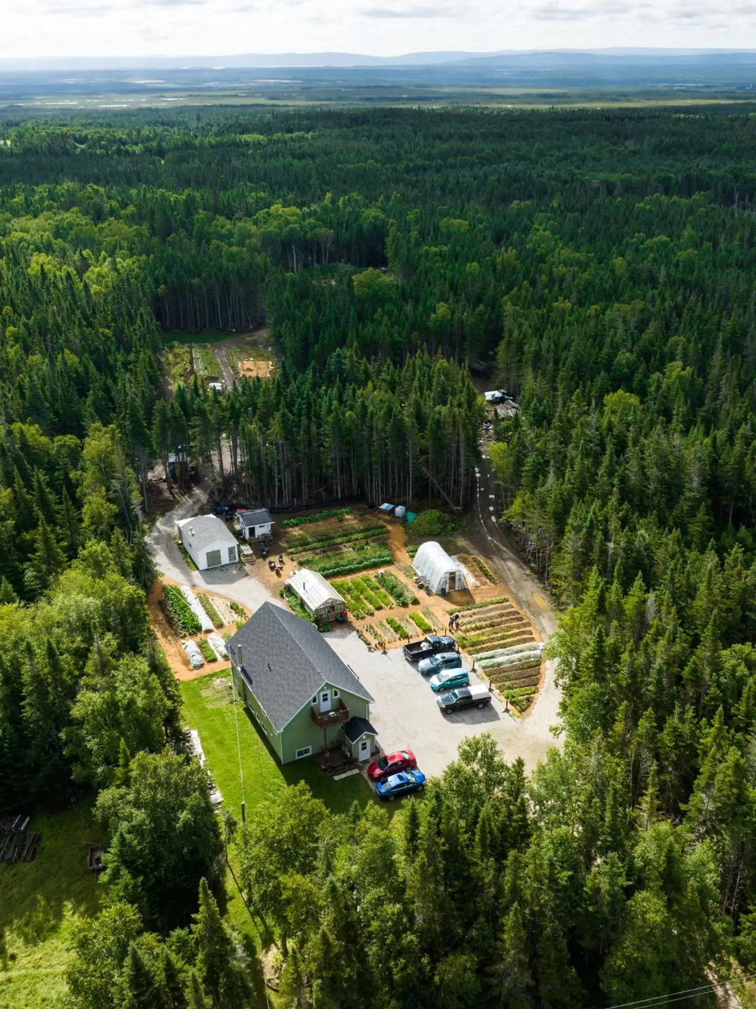 Bird's-eye View in Upper Humber Settlement a FarmStay B&B