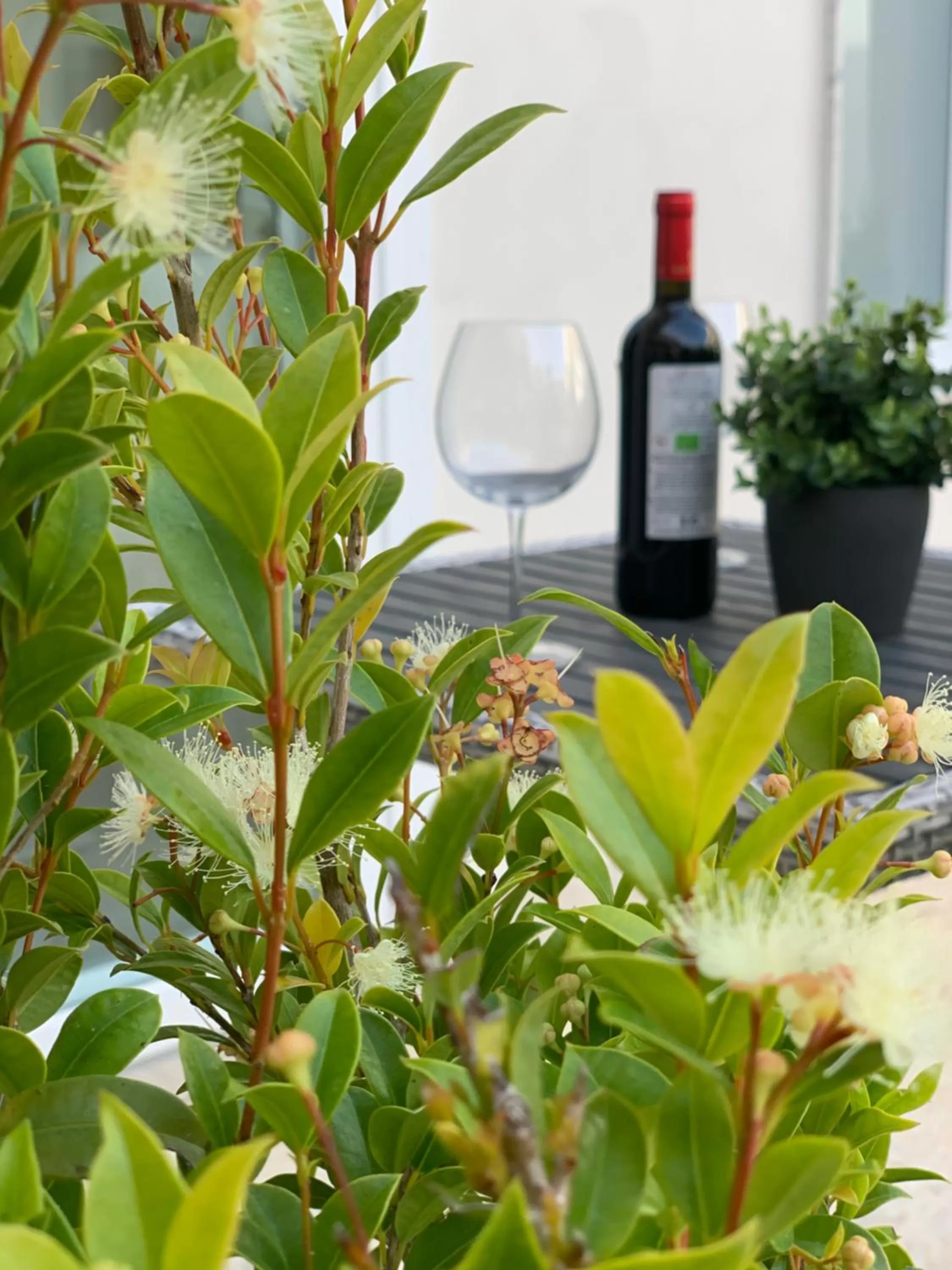 Patio in Thalya Luxury Rooms