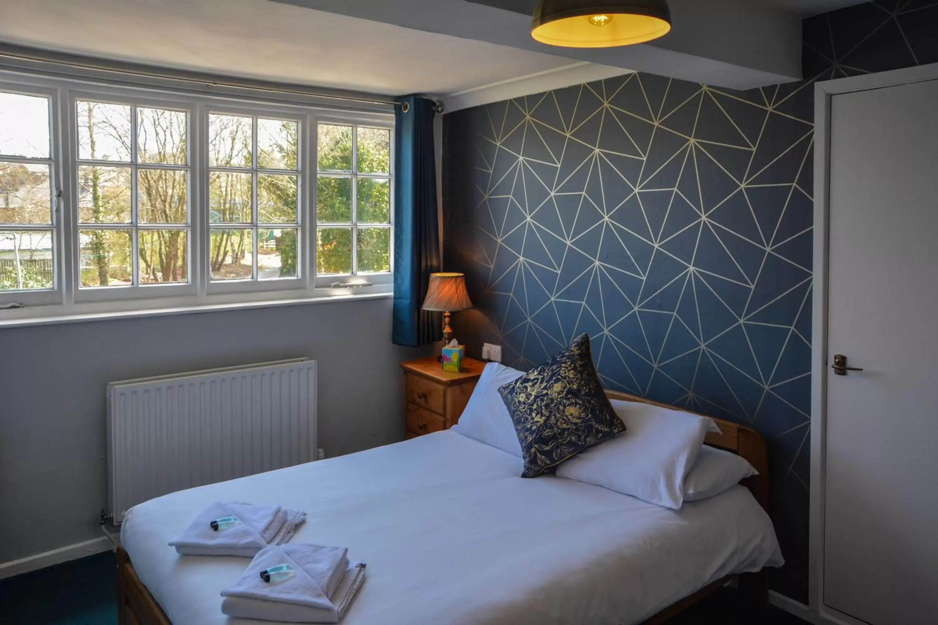 Double Room with Private Bathroom in Llanerch Inn Double Room with Private Bathroom in Llanerch Inn
