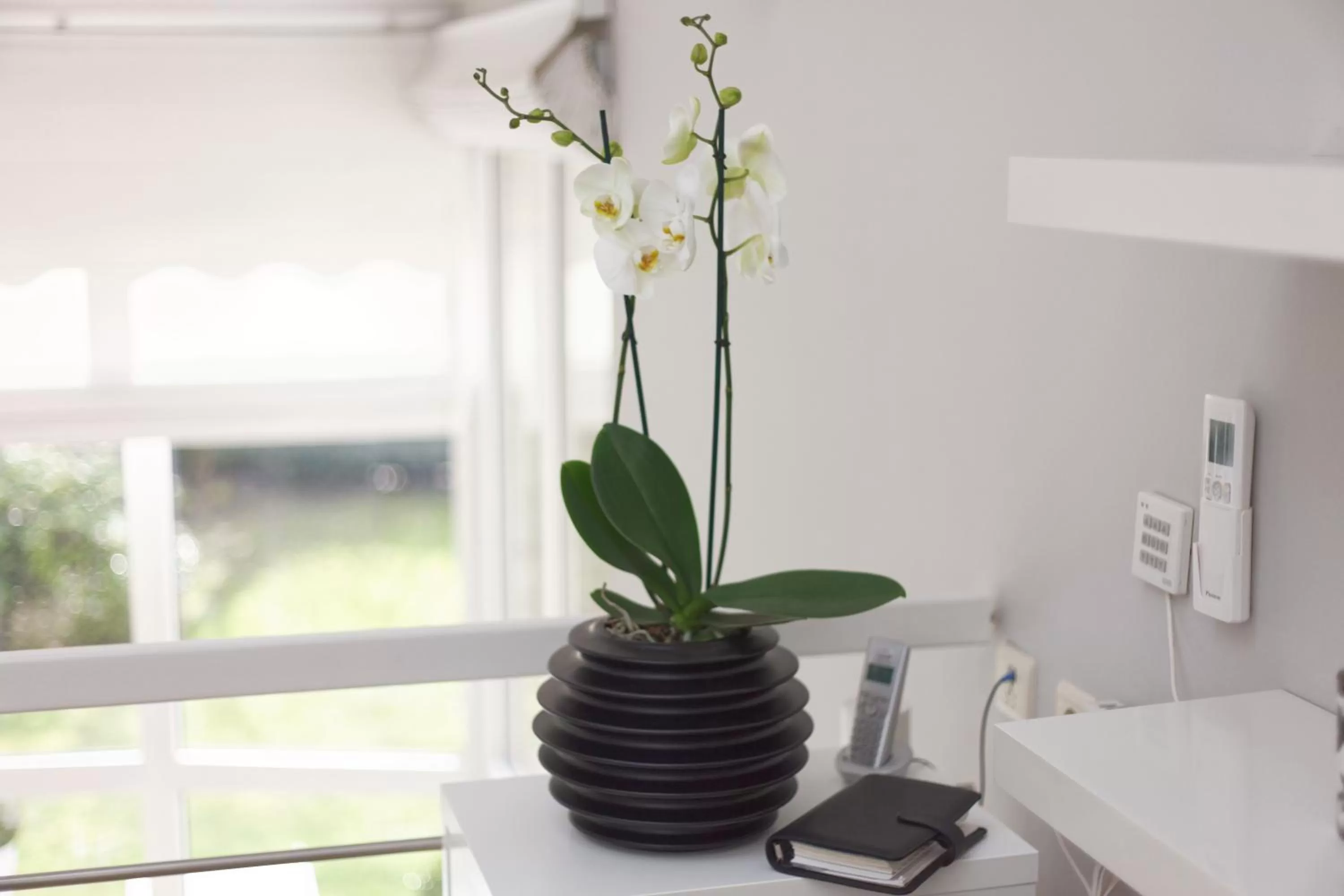 Decorative detail in Villa Tiffany