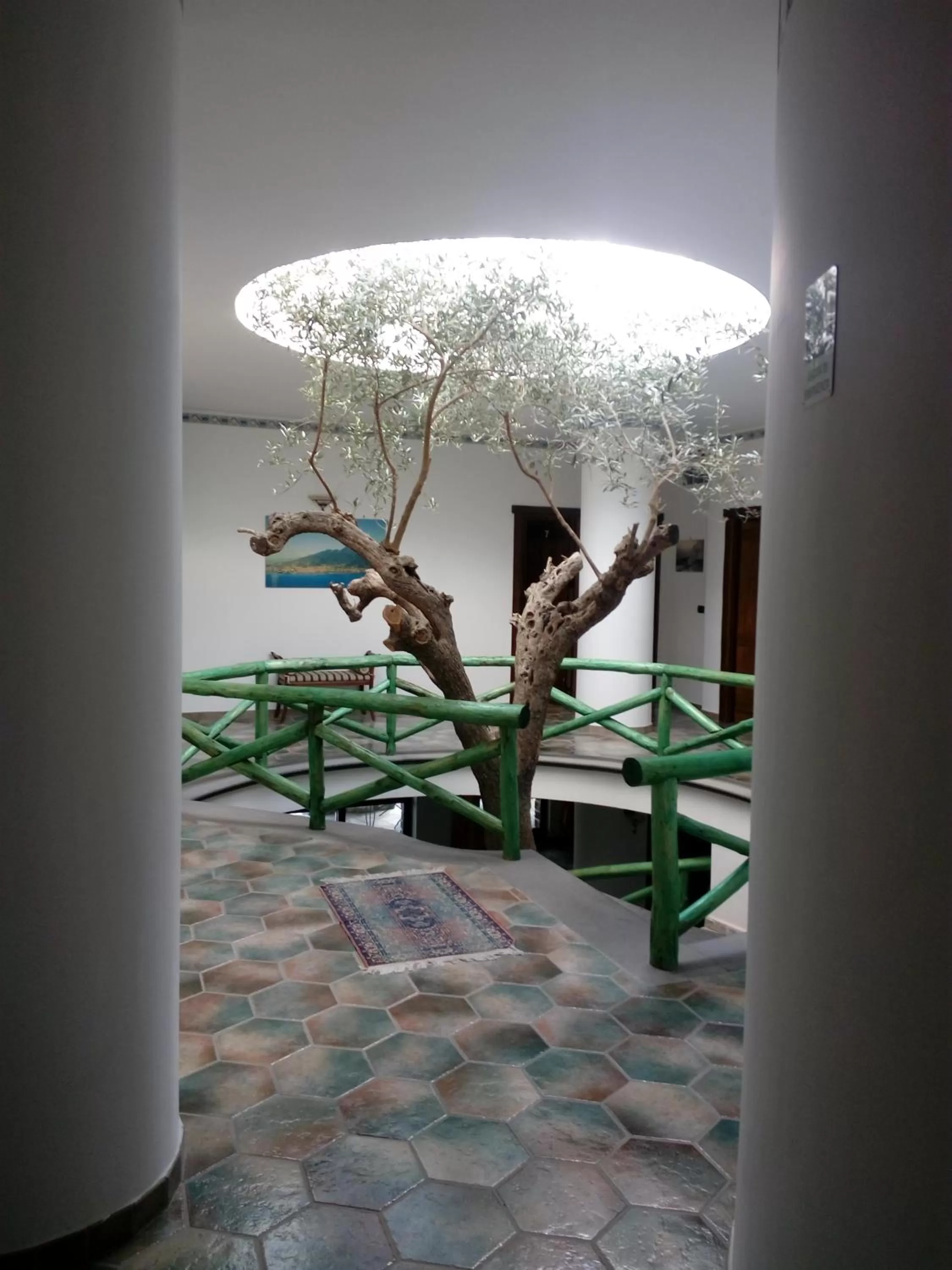 Patio/Outdoor Area in Hotel Sirio