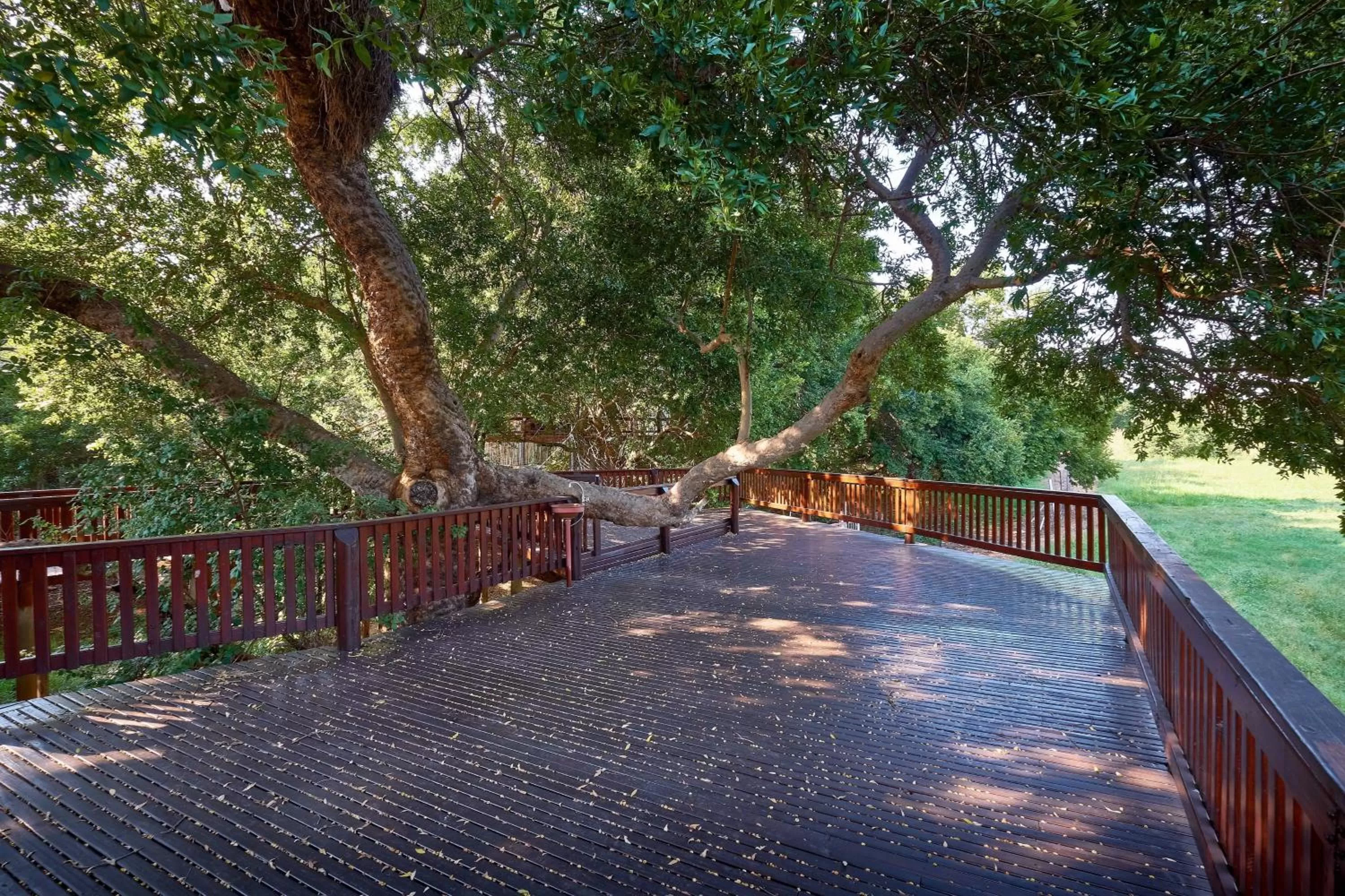 Meeting/conference room in Protea Hotel by Marriott Polokwane Ranch Resort