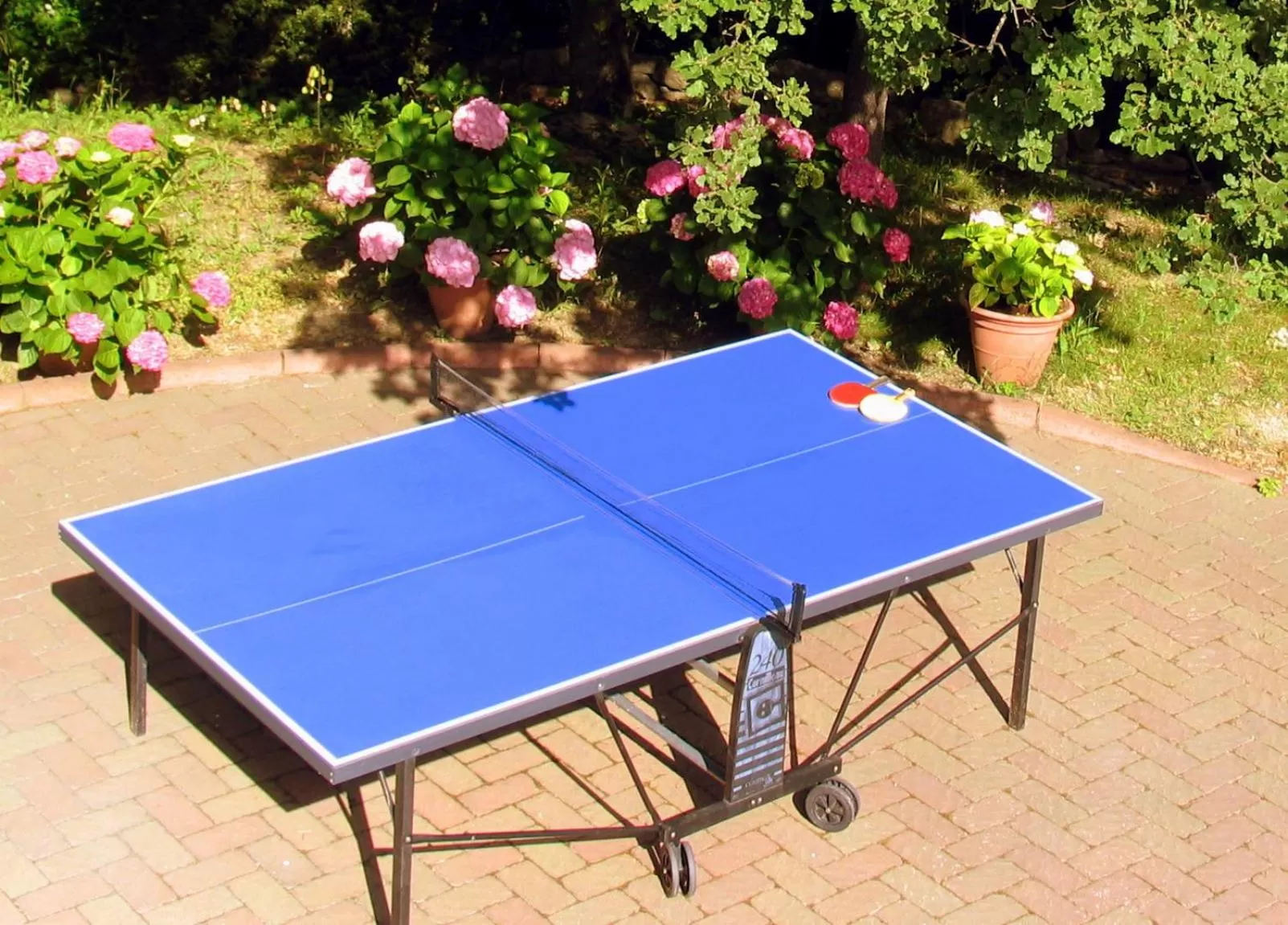 Entertainment in La Casa Dei Boschi