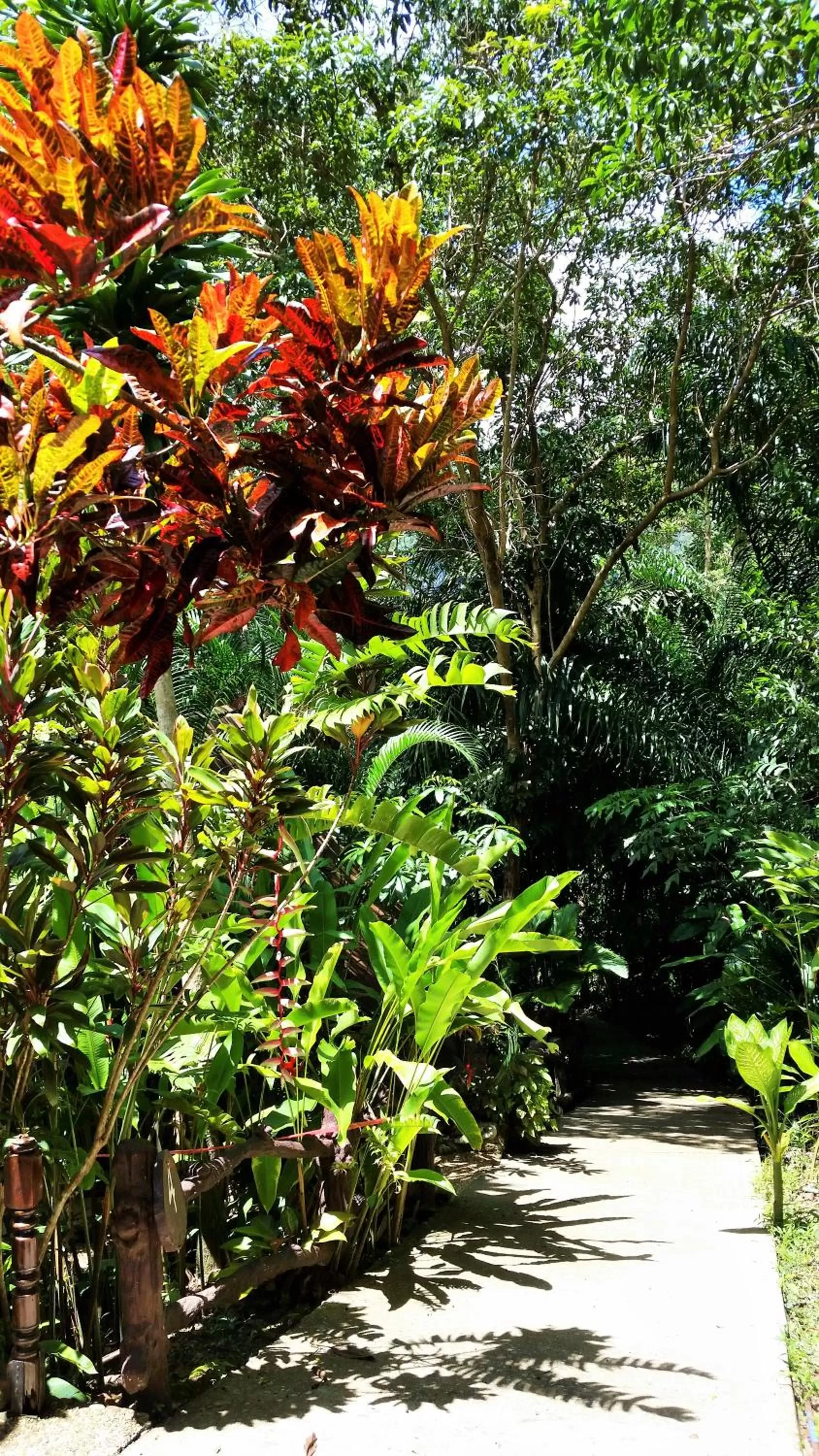 Day in Khao Sok Las Orquideas Resort