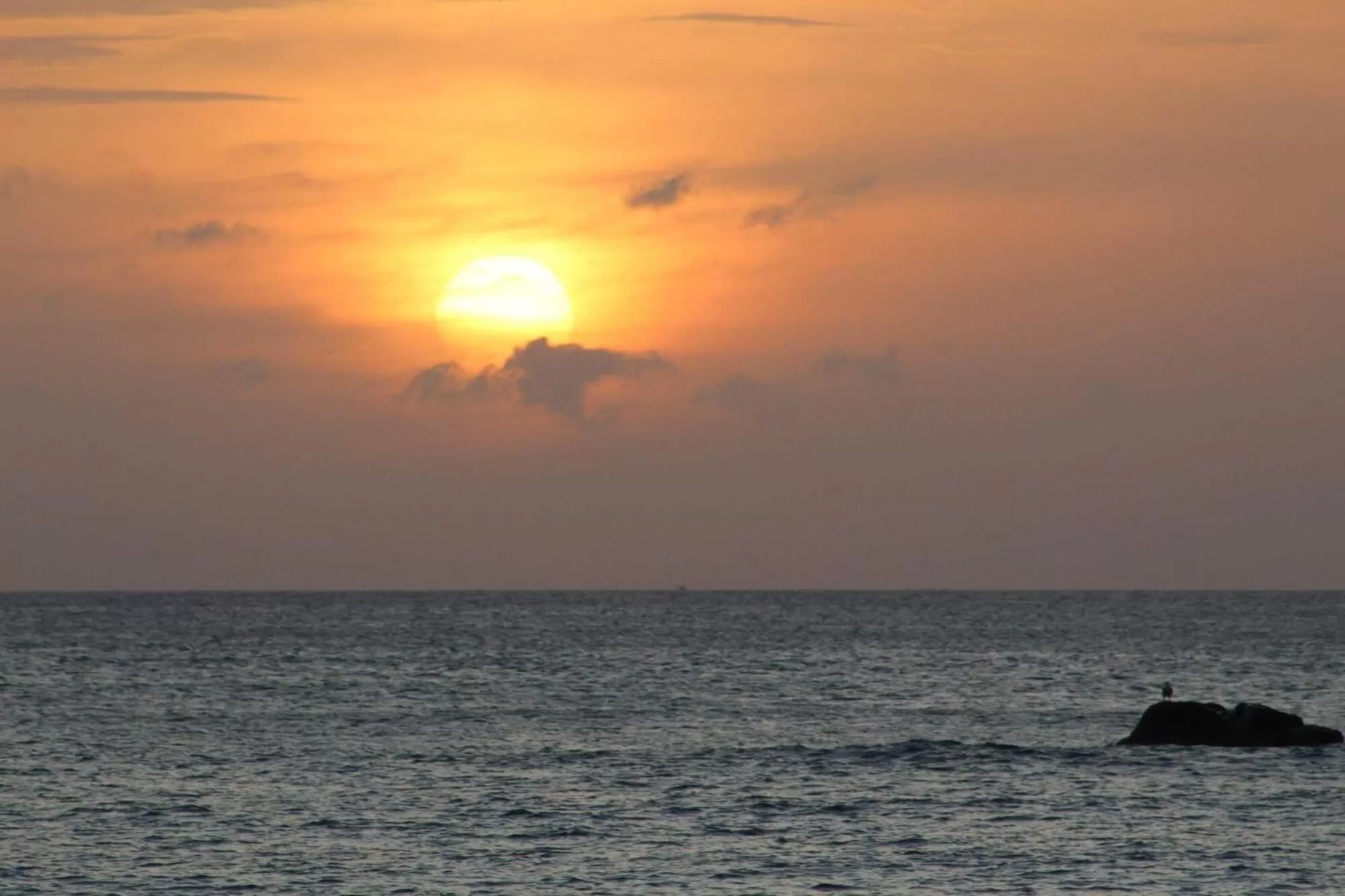 Beach, Sunrise/Sunset in 108 Palms Beach Resort
