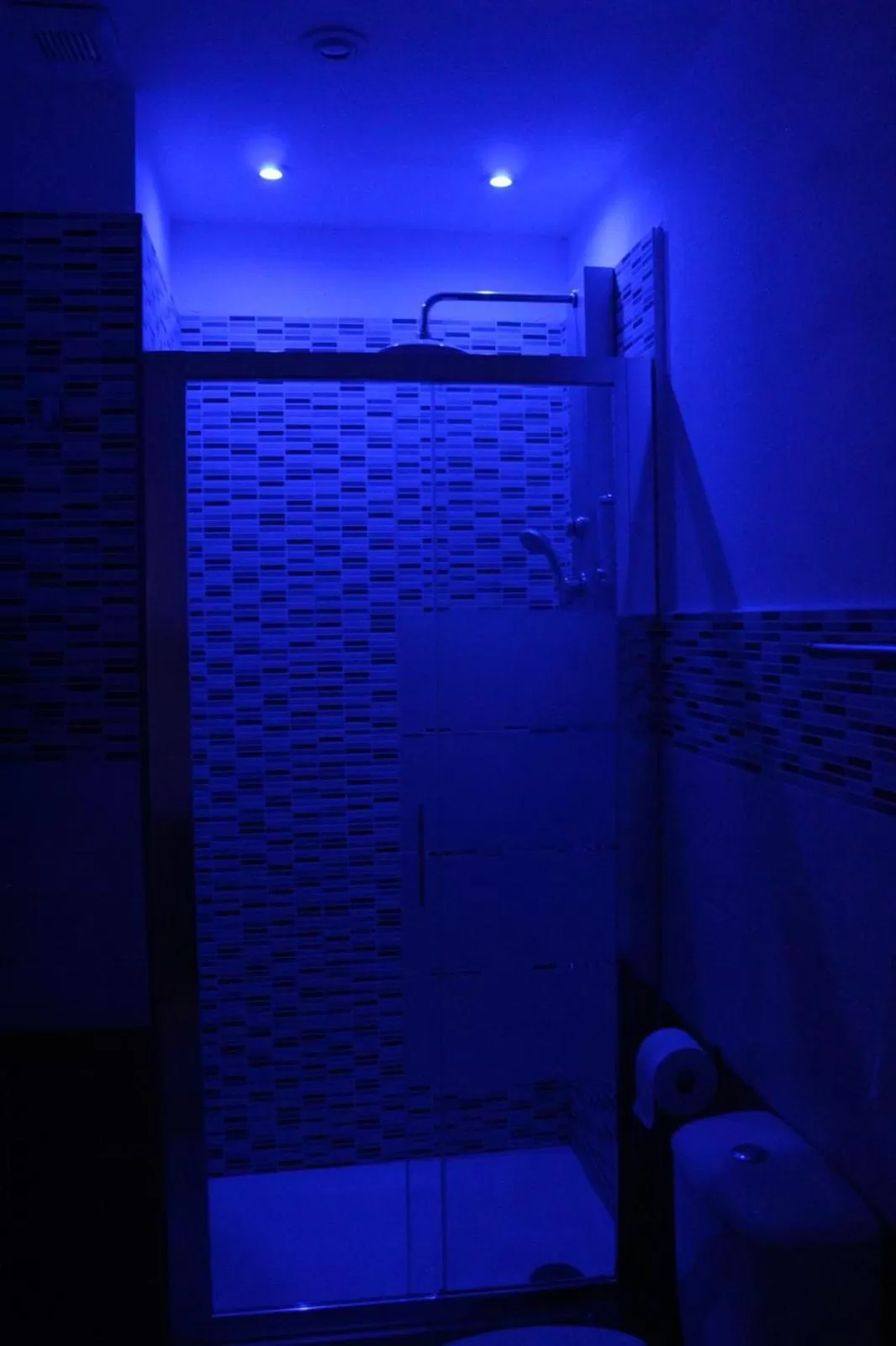 Shower, Bathroom in U Baruni B&B