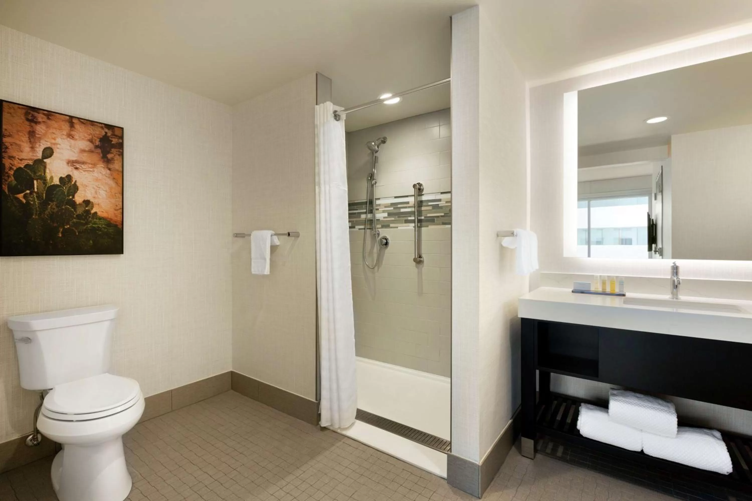 Two-Room Queen Suite - Mobility/Hearing Accessible in Embassy Suites By Hilton San Antonio Landmark