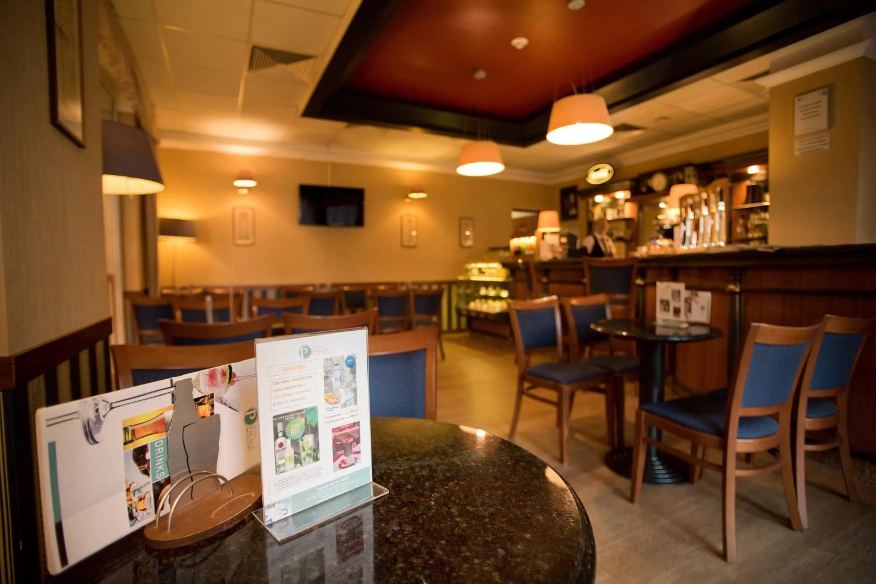 Lounge or bar in Palace Hotel Hévíz