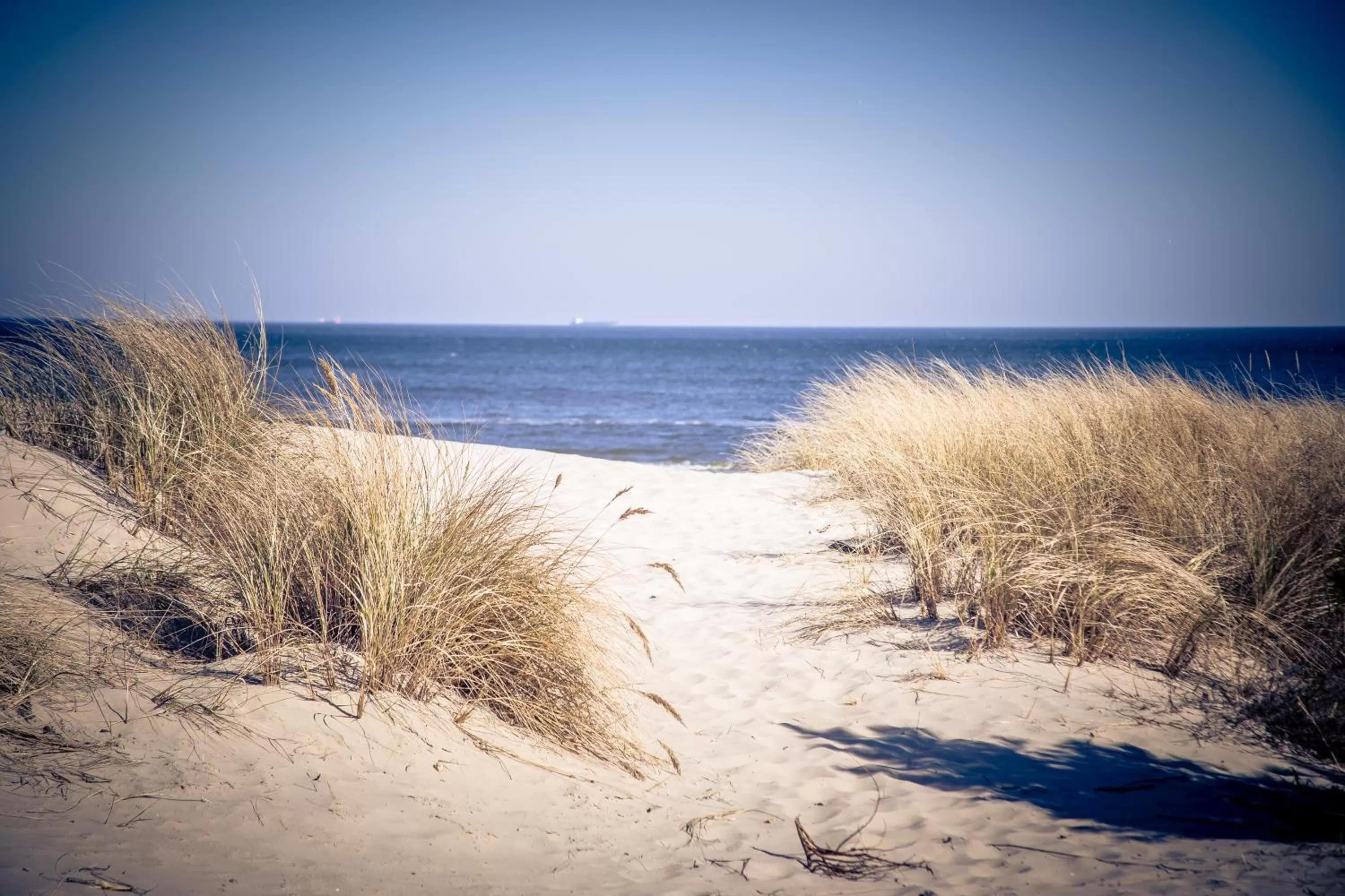 Day in Aparthotel Strandhus