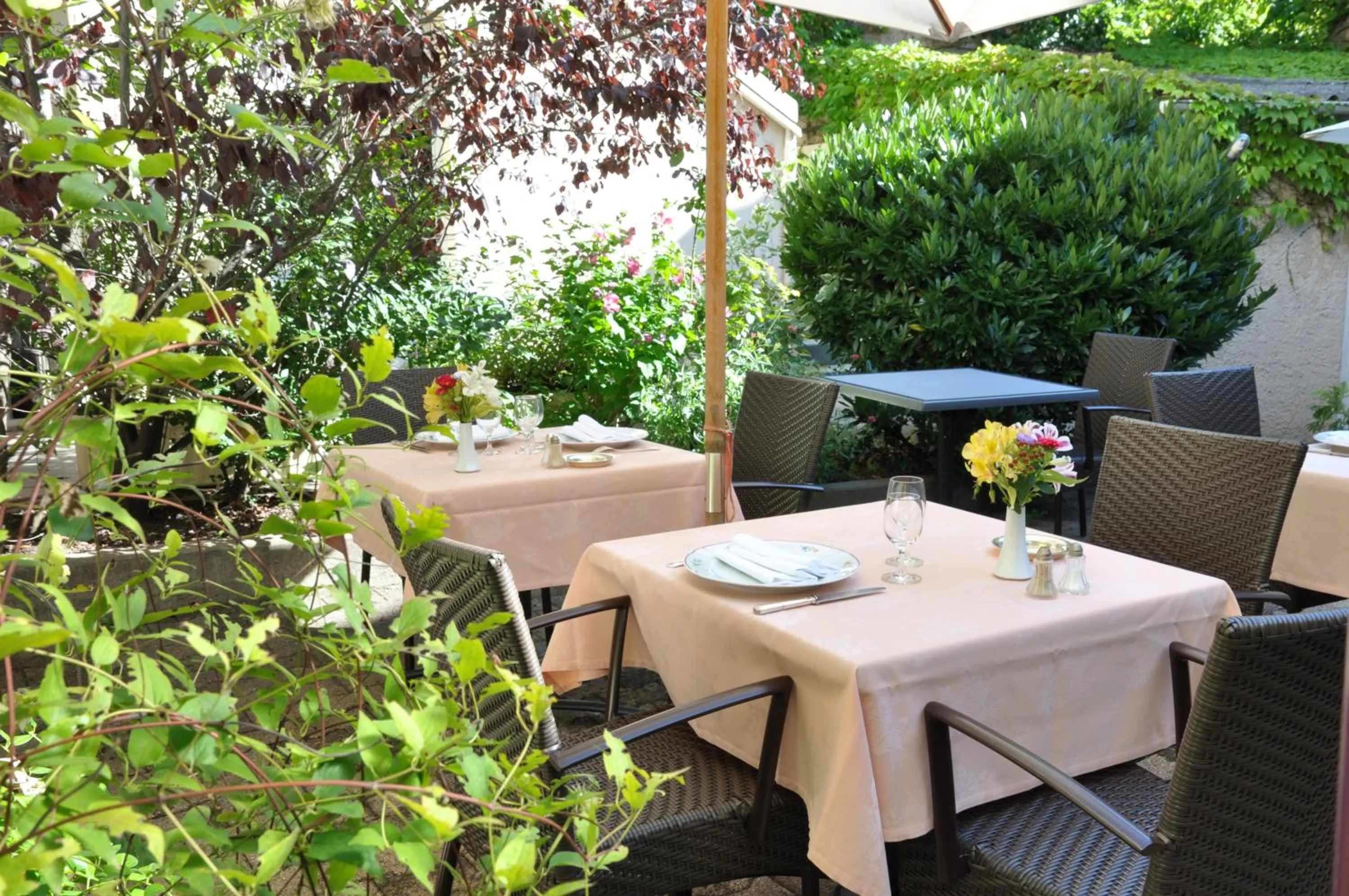 Restaurant/places to eat in Hostellerie des Trois Pigeons, Paray-le-Monial