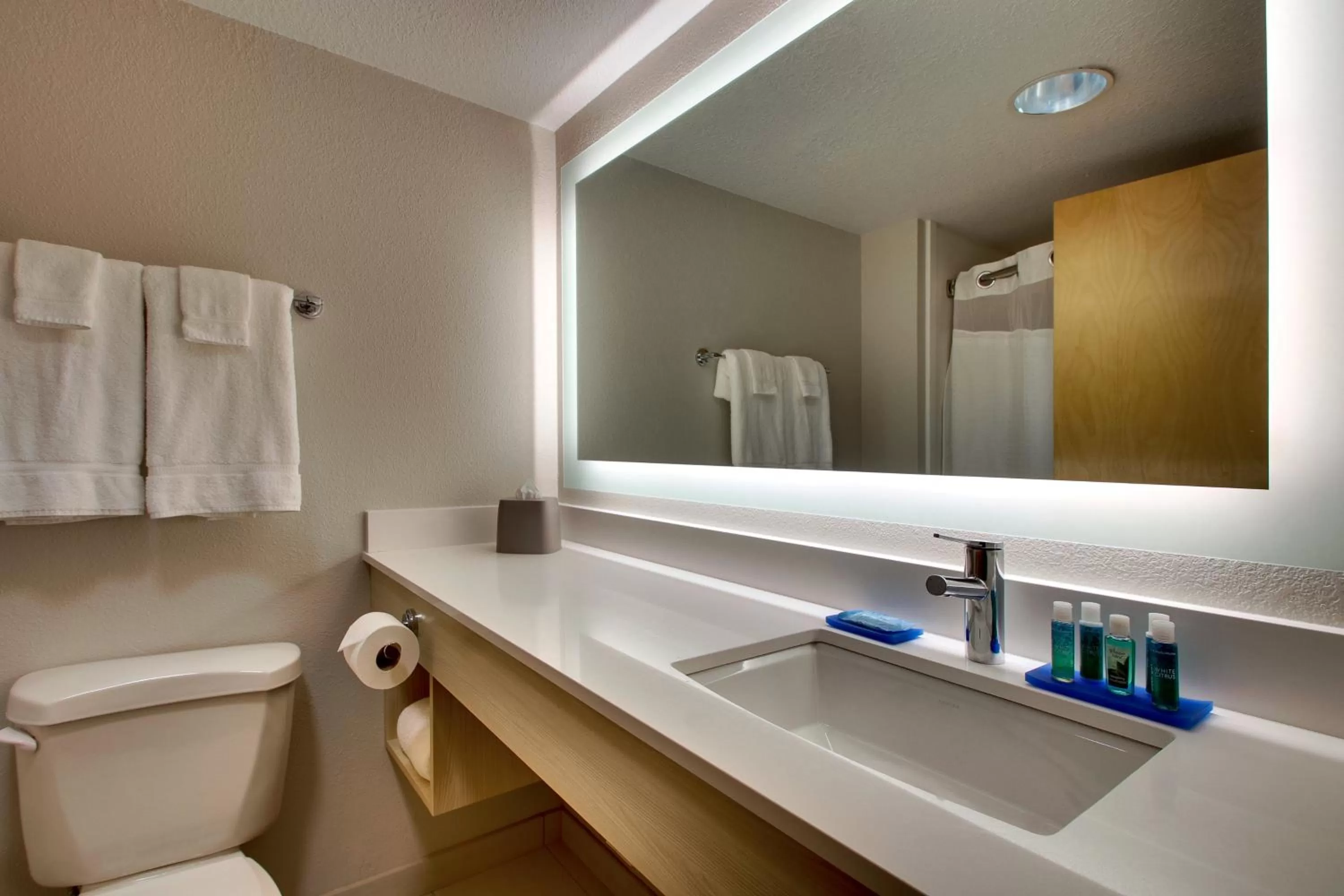 Bathroom in Holiday Inn Express Hotel & Suites Cedar Rapids I-380 at 33rd Avenue by IHG